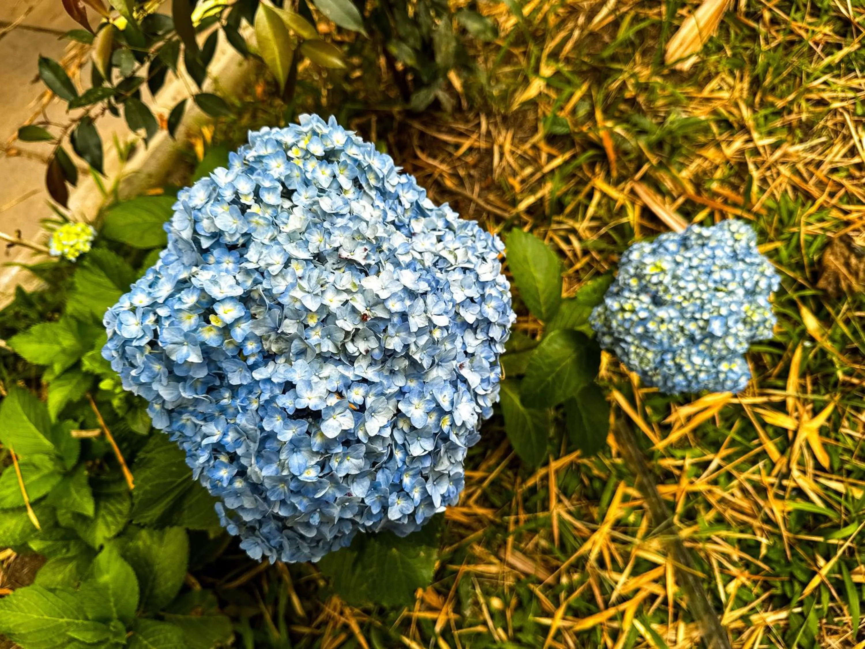 Day in Tierra Maravilla