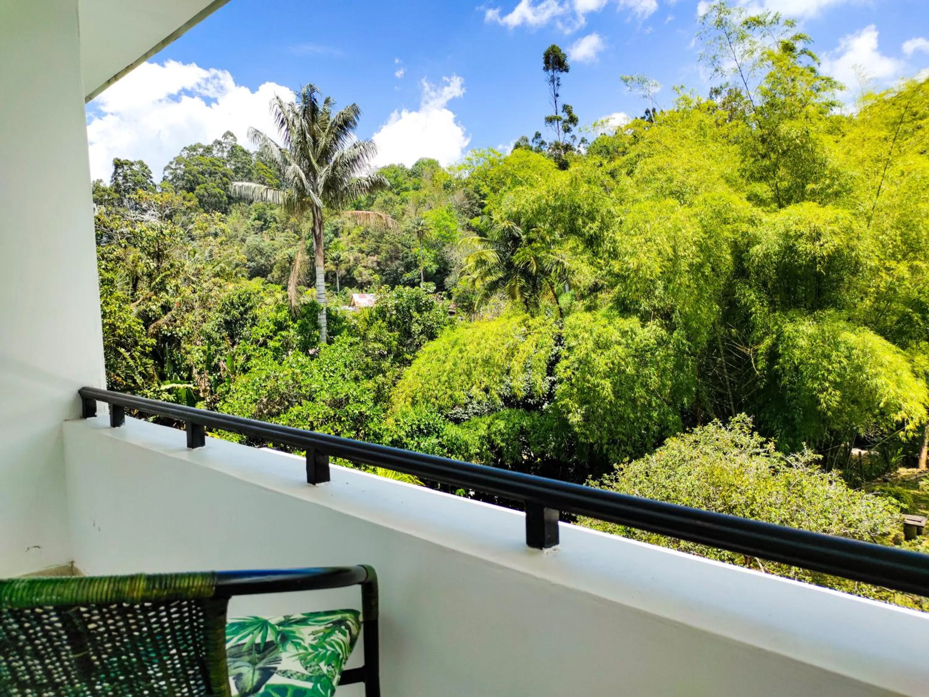 Day in Tierra Maravilla