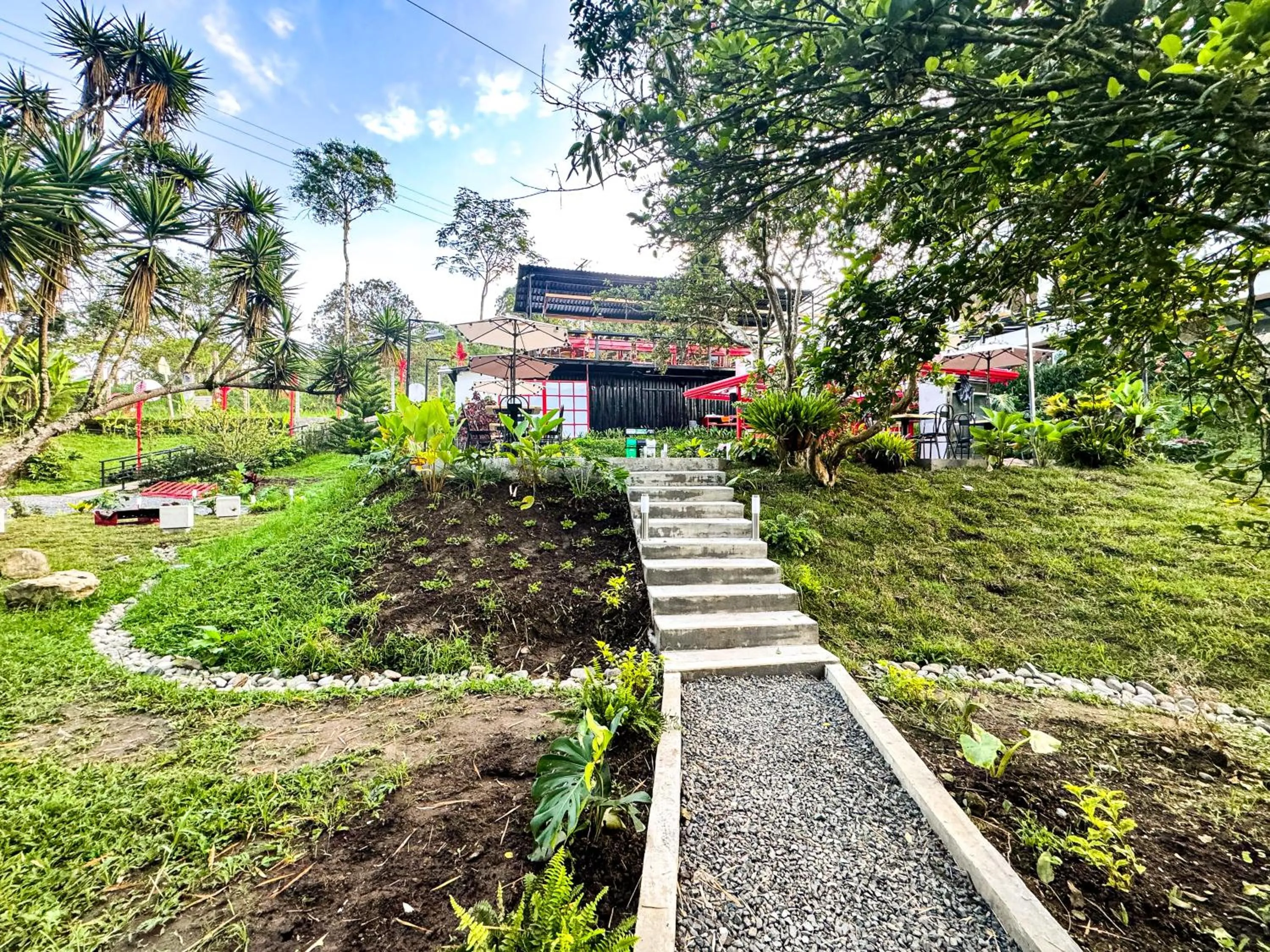 Day in Tierra Maravilla