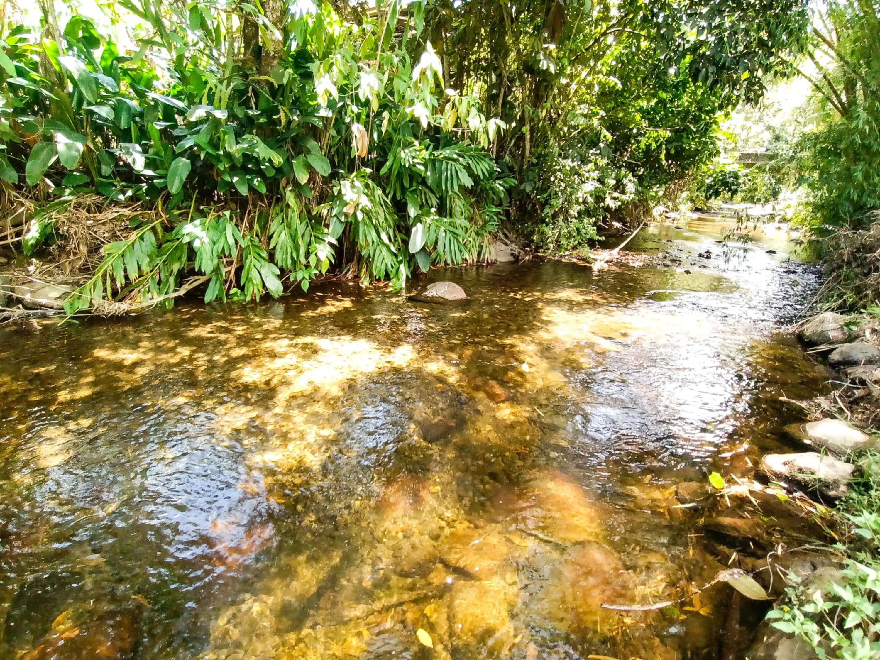 Day in Tierra Maravilla