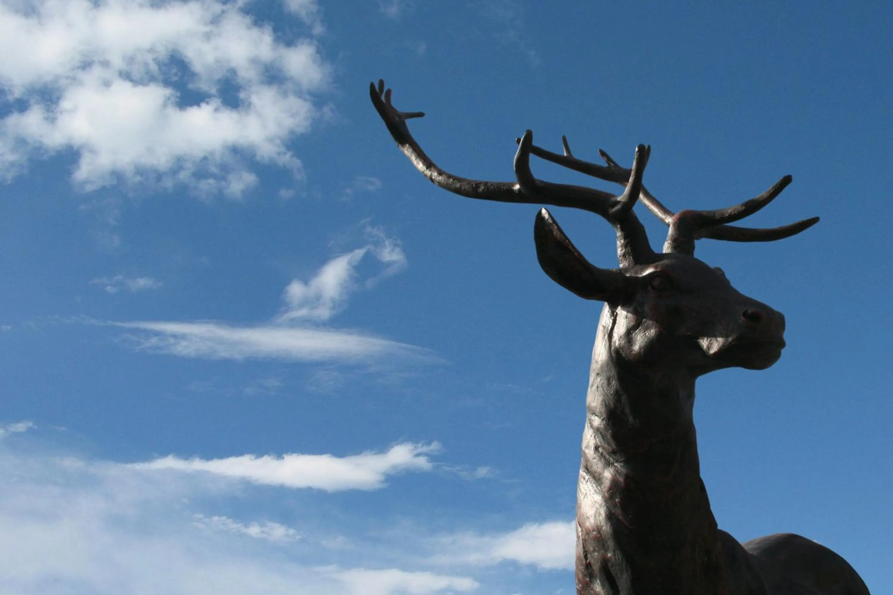 Garden view in Trivelles Waterhall Country Gatwick Hotel & airport parking