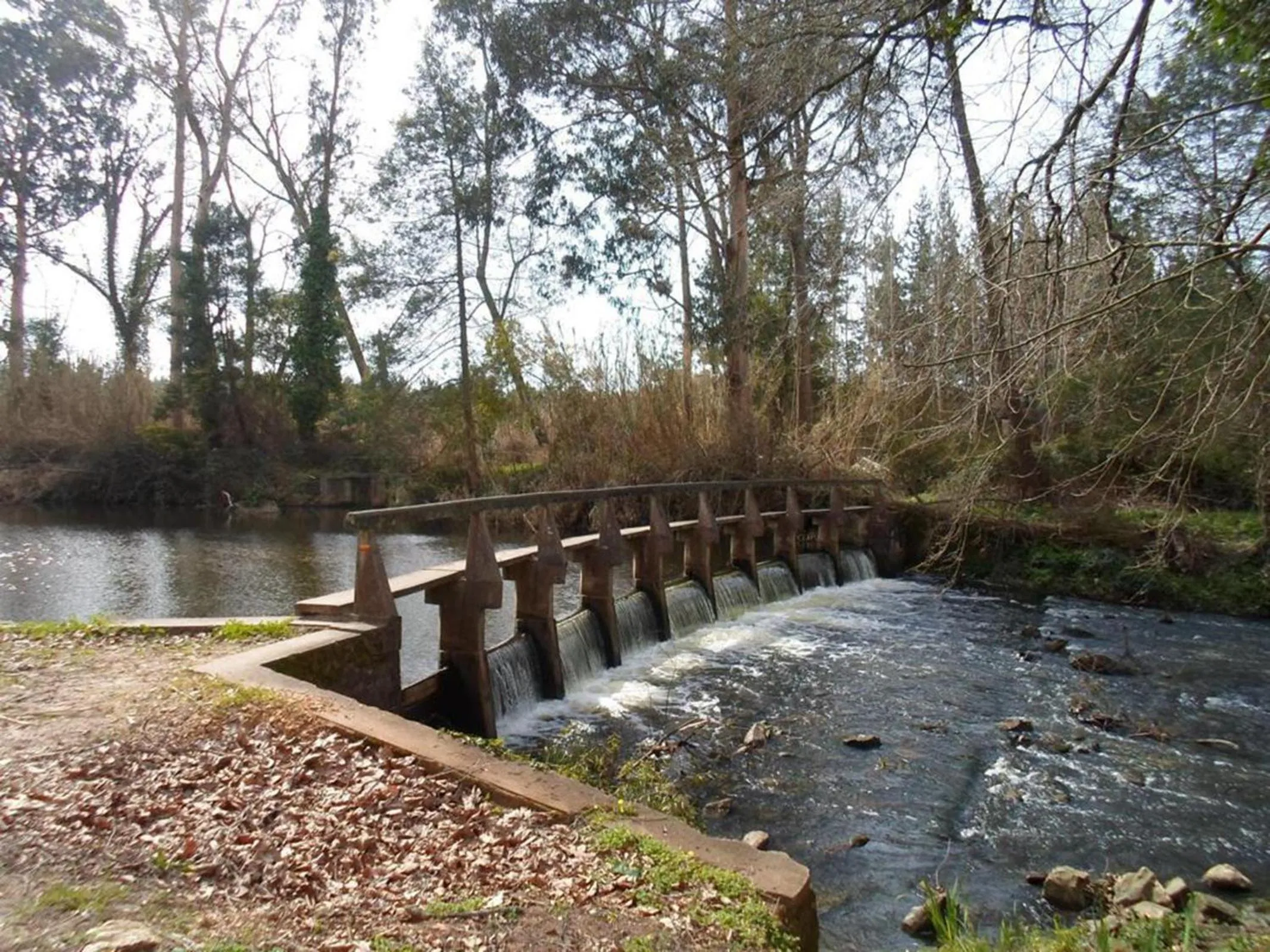 Natural landscape in Granny´s Guesthouse