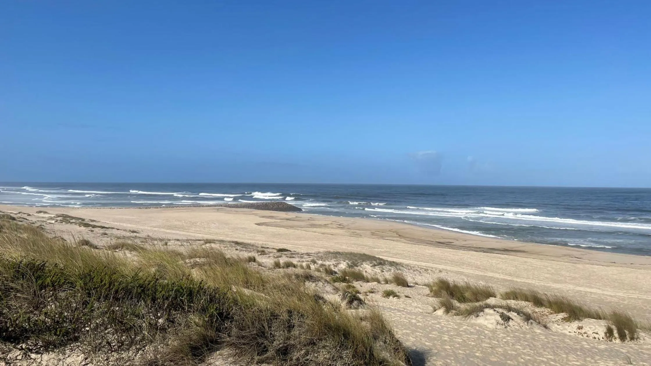 Natural landscape in Granny´s Guesthouse