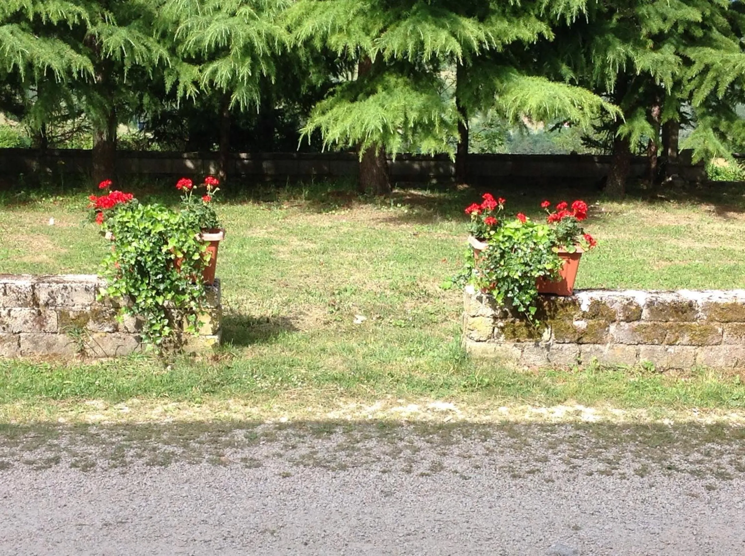 Day in B&B Il Casale