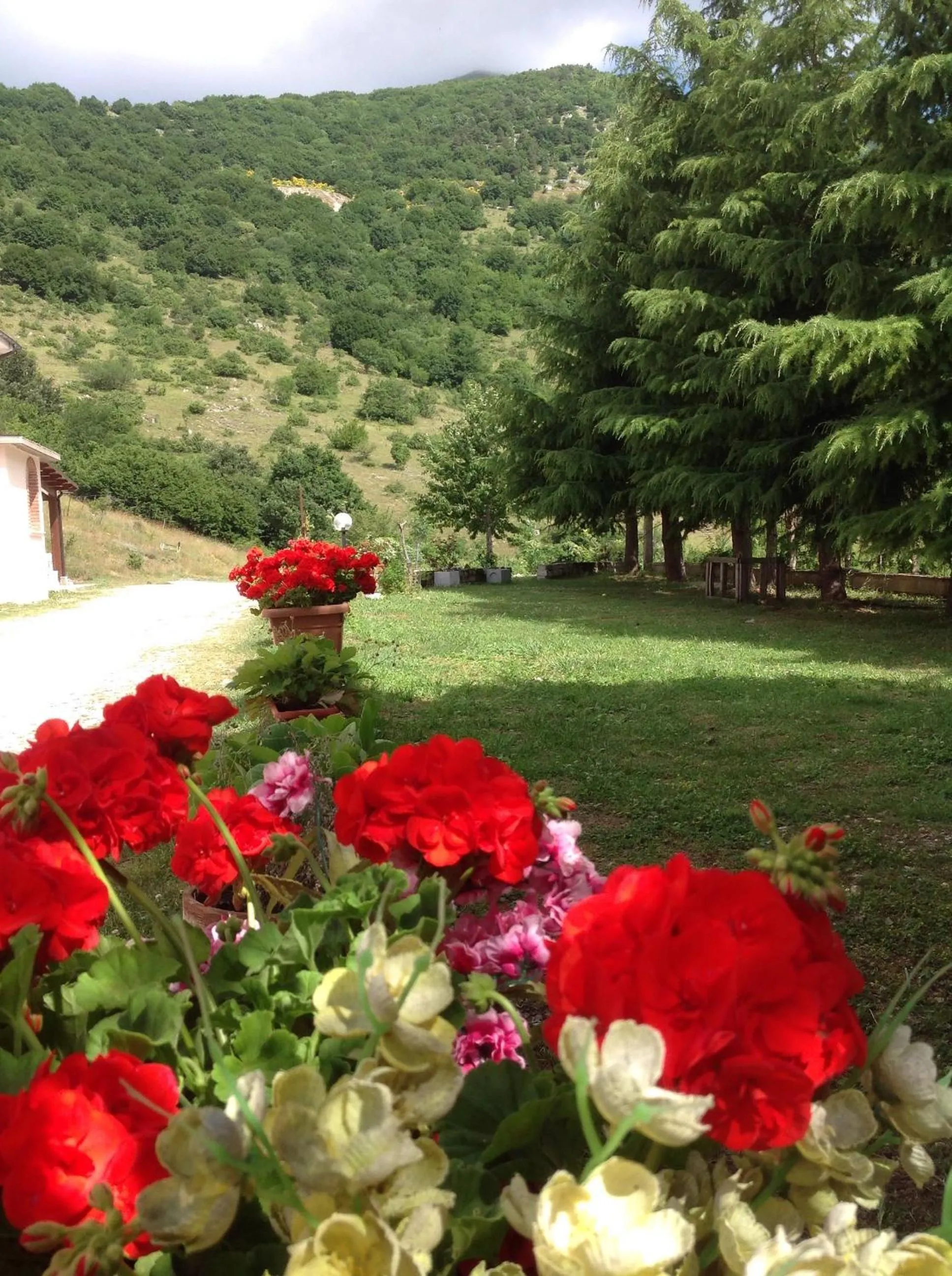 Spring in B&B Il Casale
