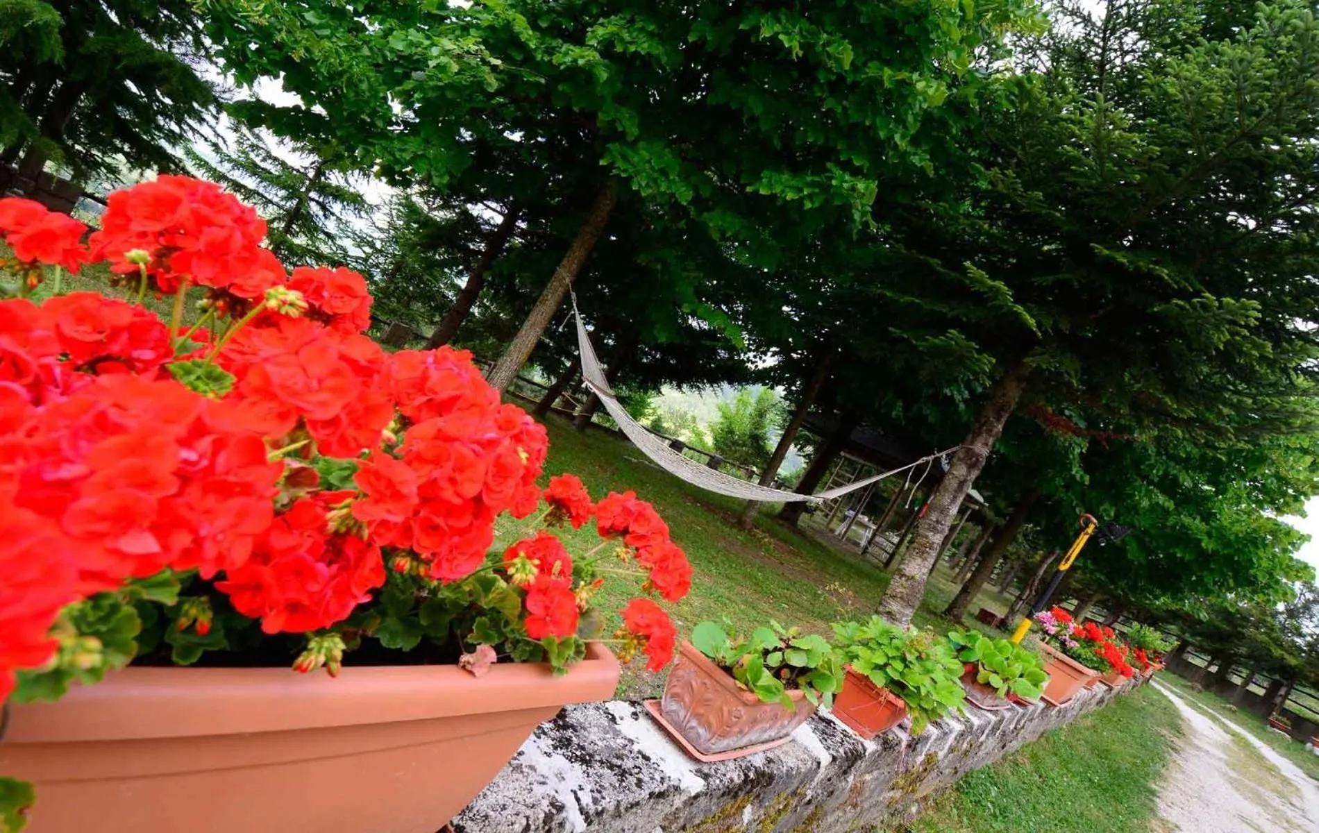 Spring in B&B Il Casale