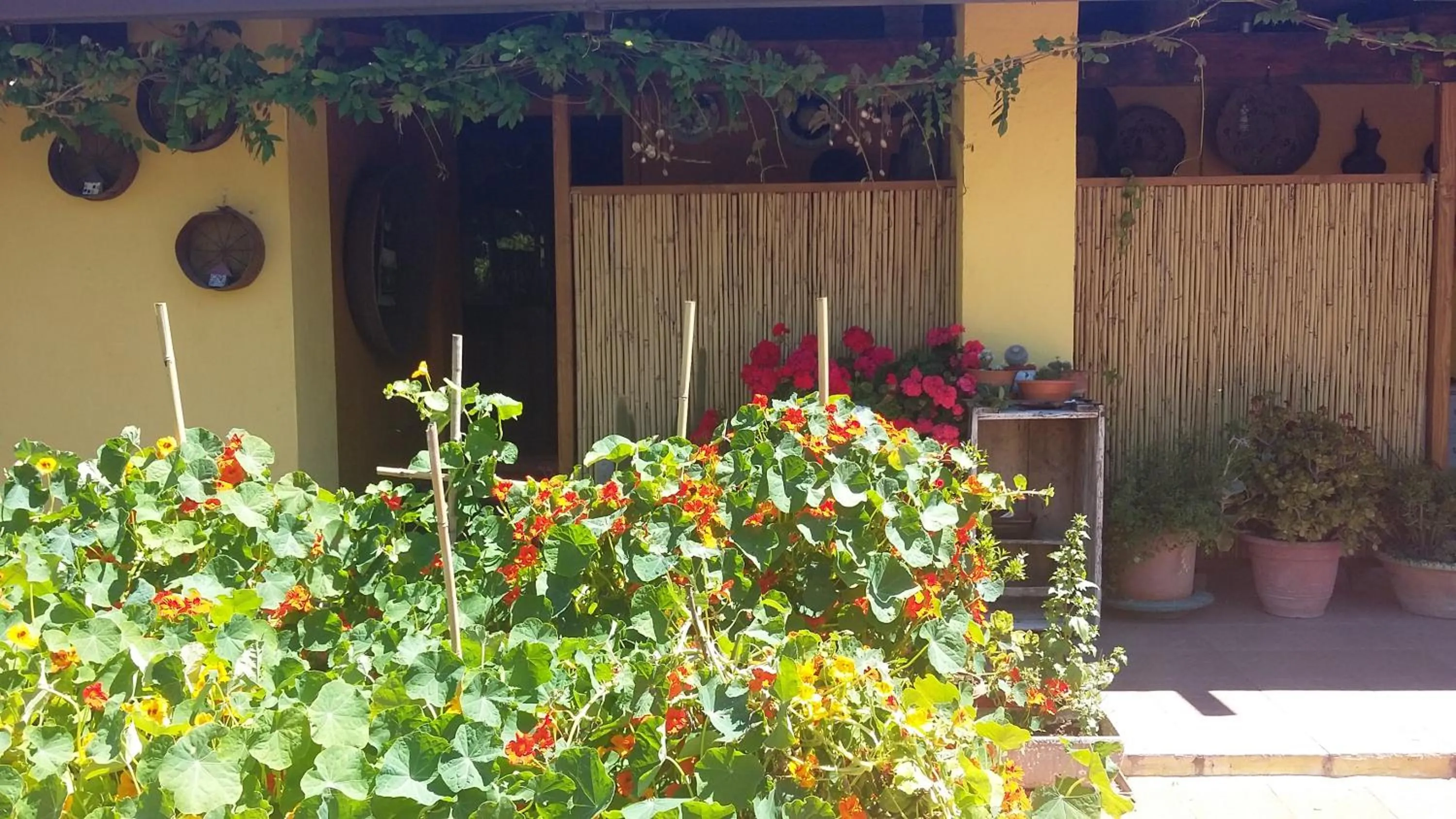 Property building in casa di campagna dal pozzo