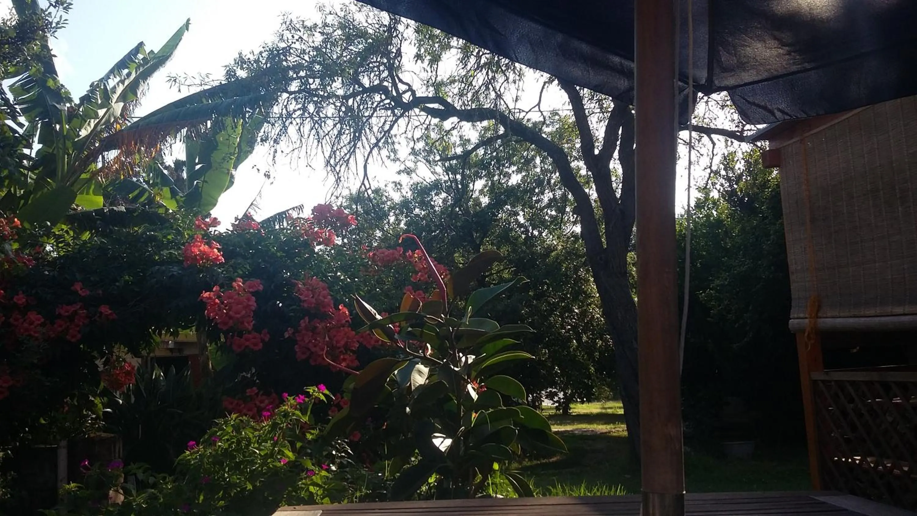 casa di campagna dal pozzo