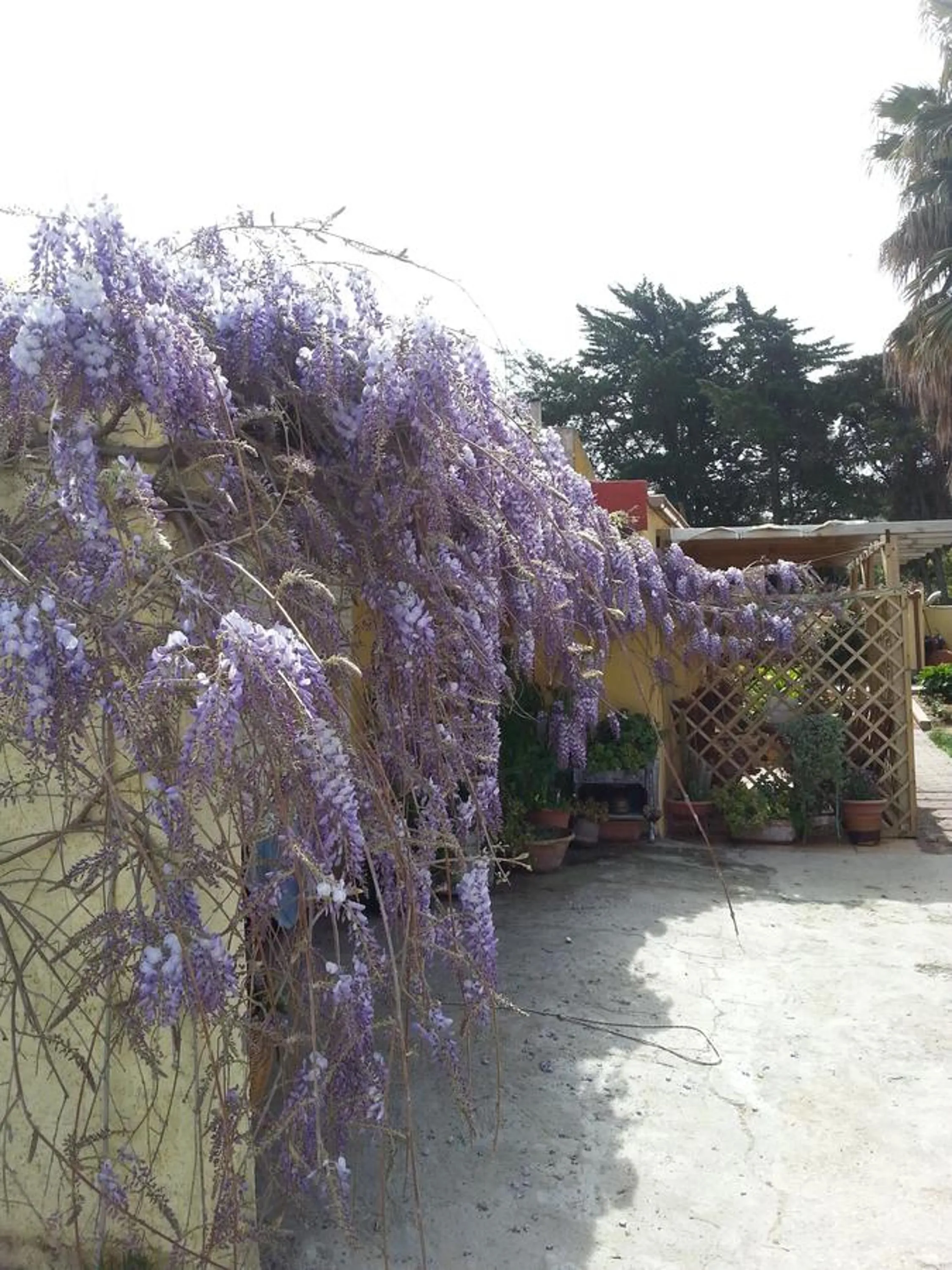 Garden view in casa di campagna dal pozzo