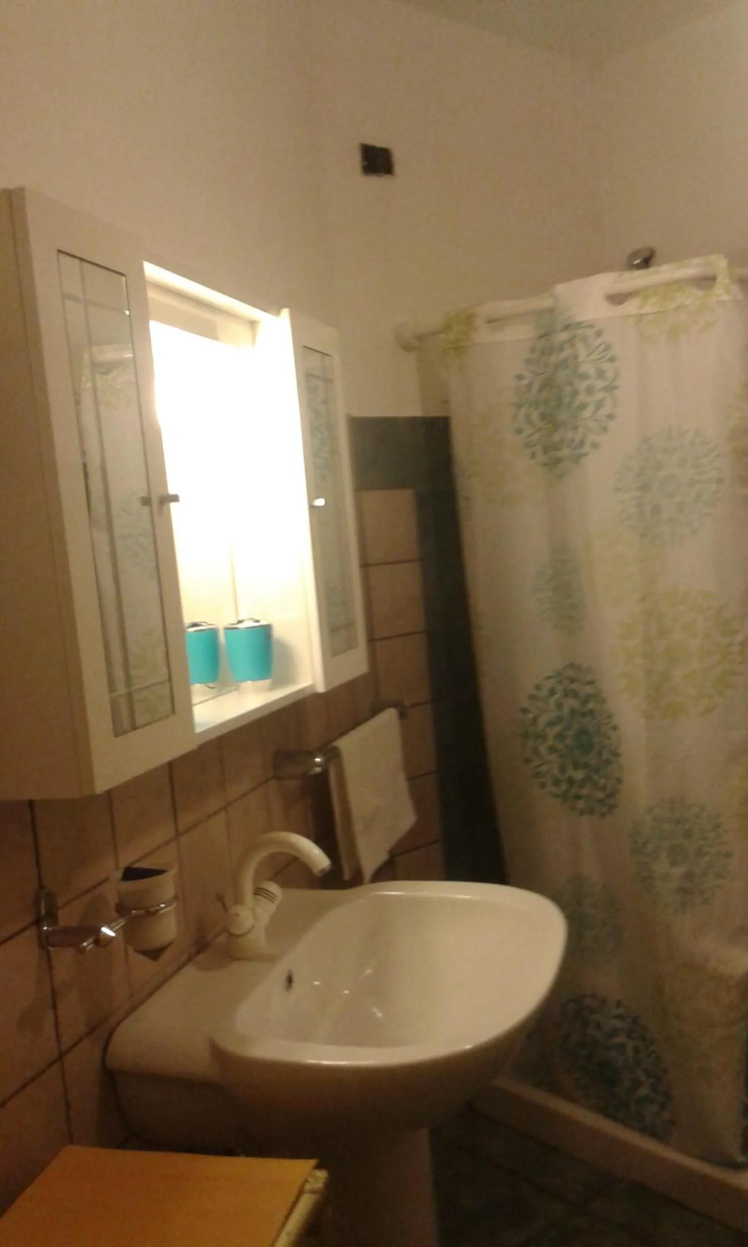 Bathroom in casa di campagna dal pozzo