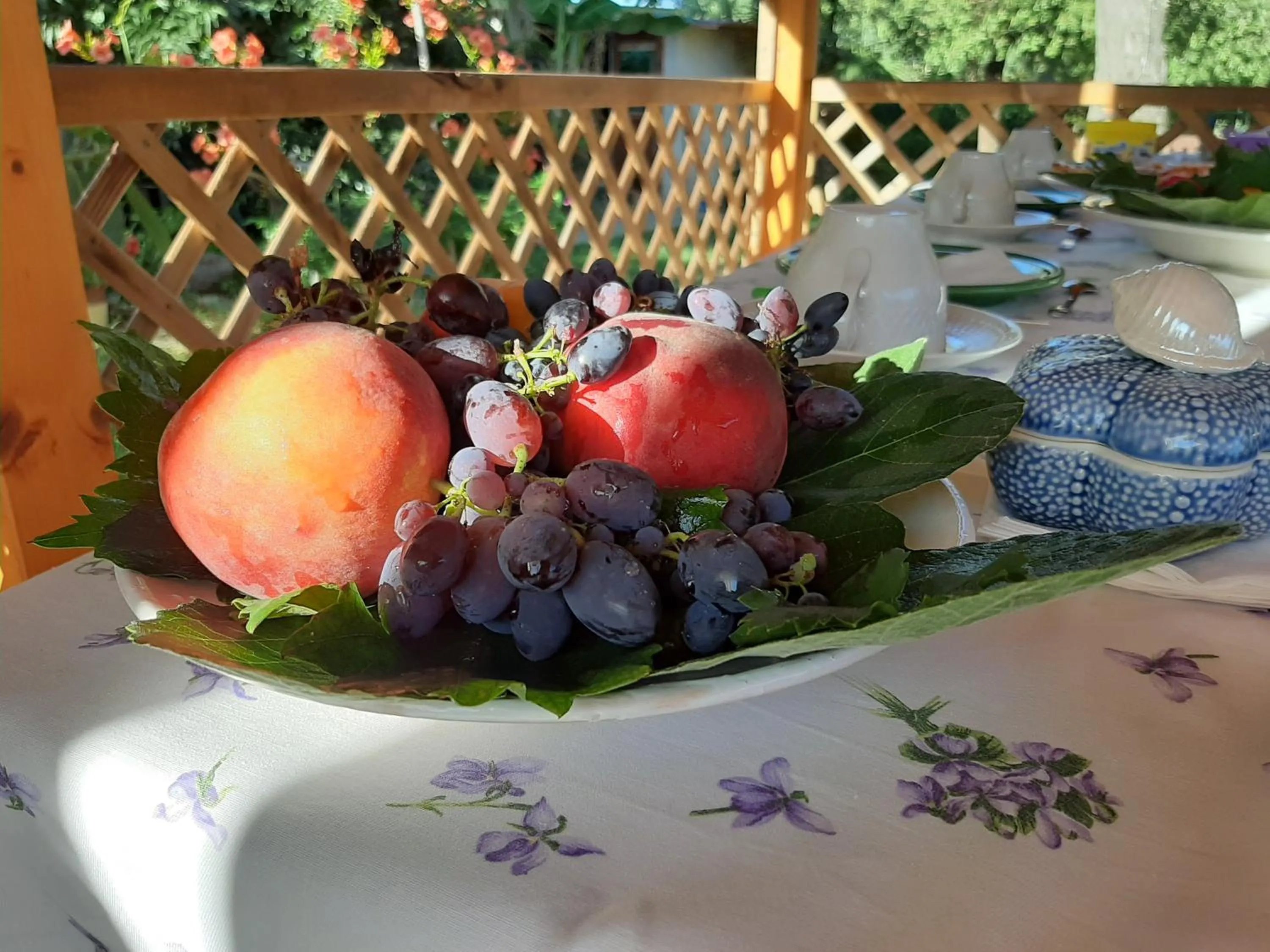 Food close-up in casa di campagna dal pozzo