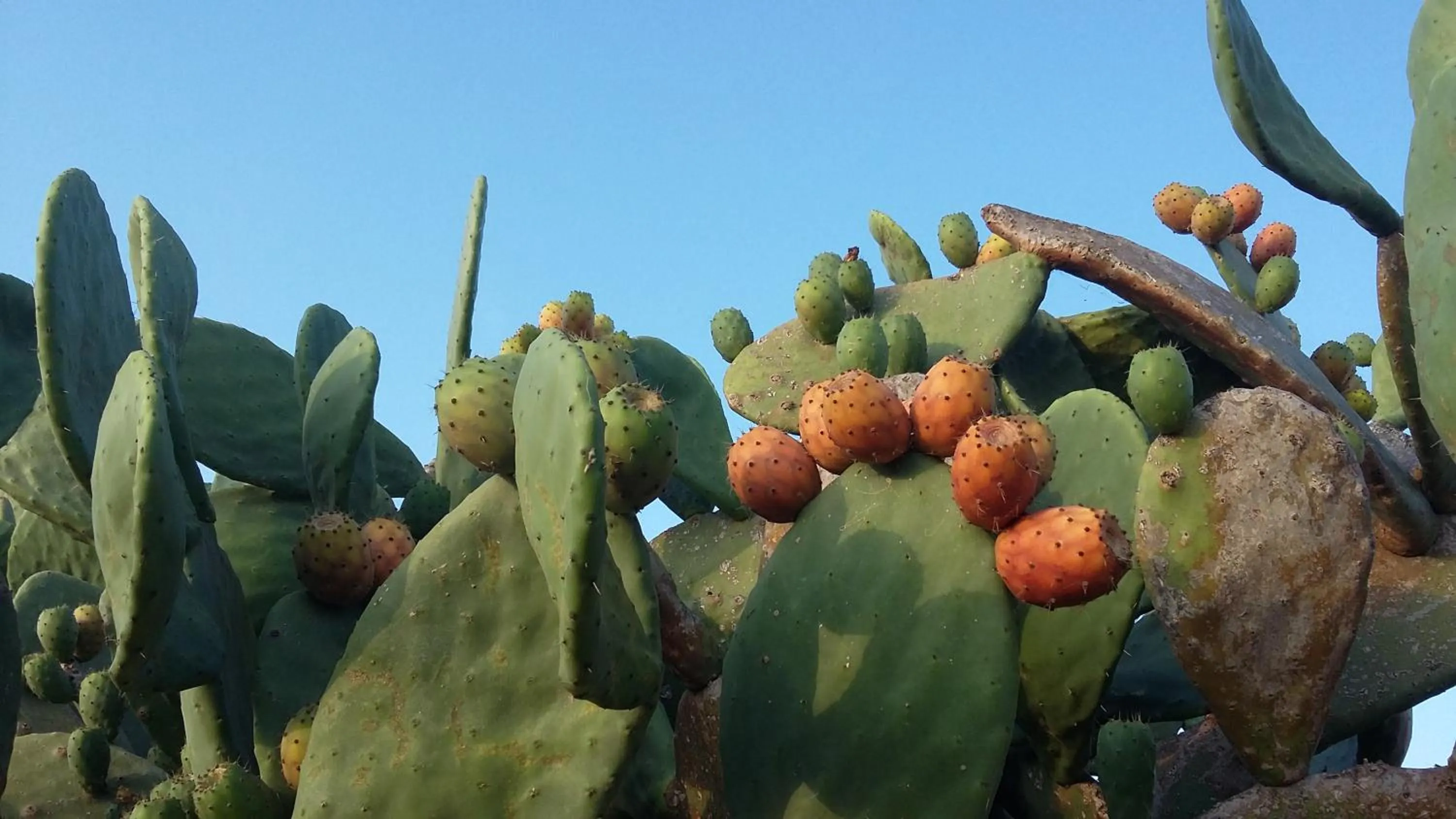 Day in casa di campagna dal pozzo