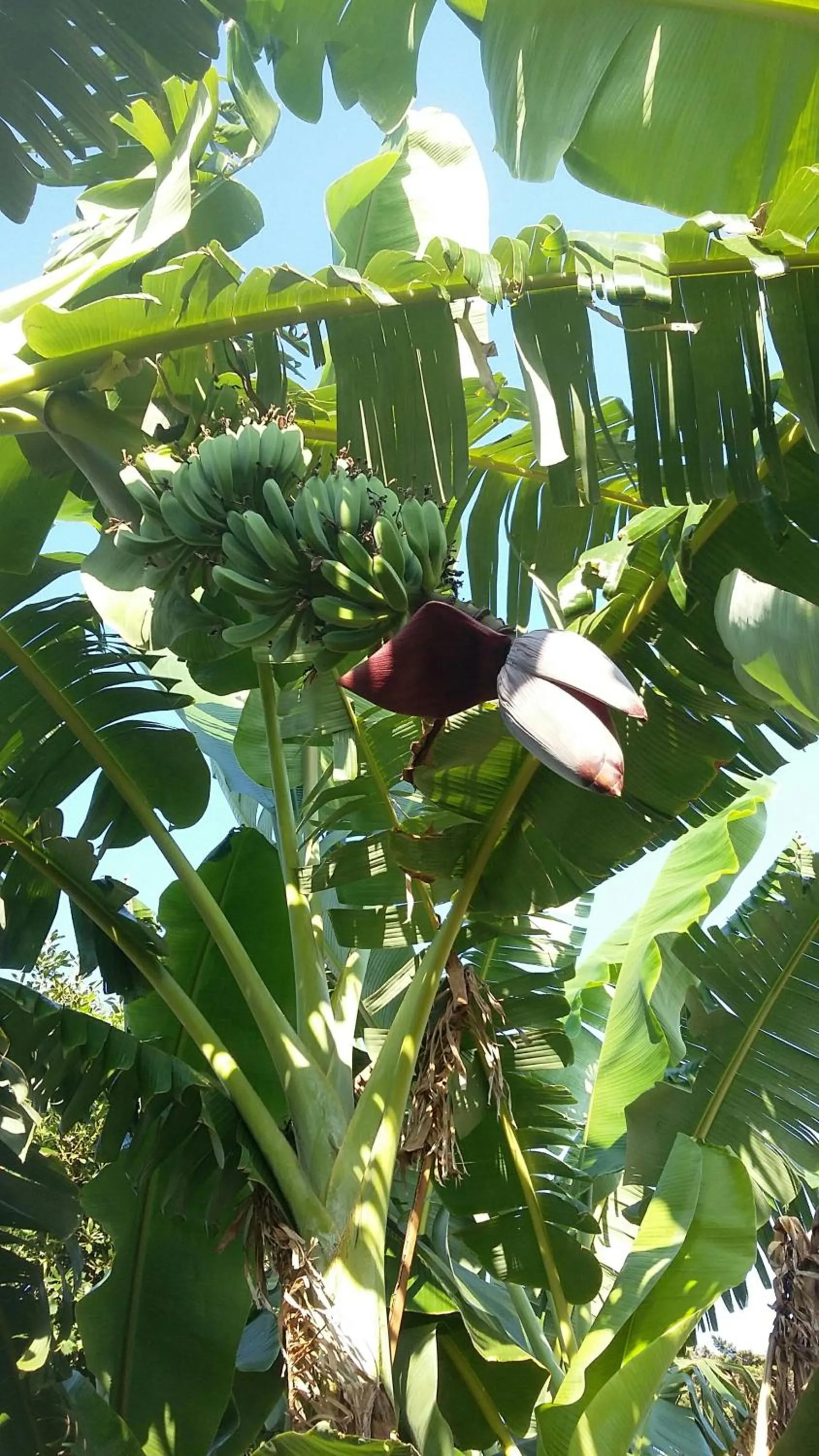 casa di campagna dal pozzo