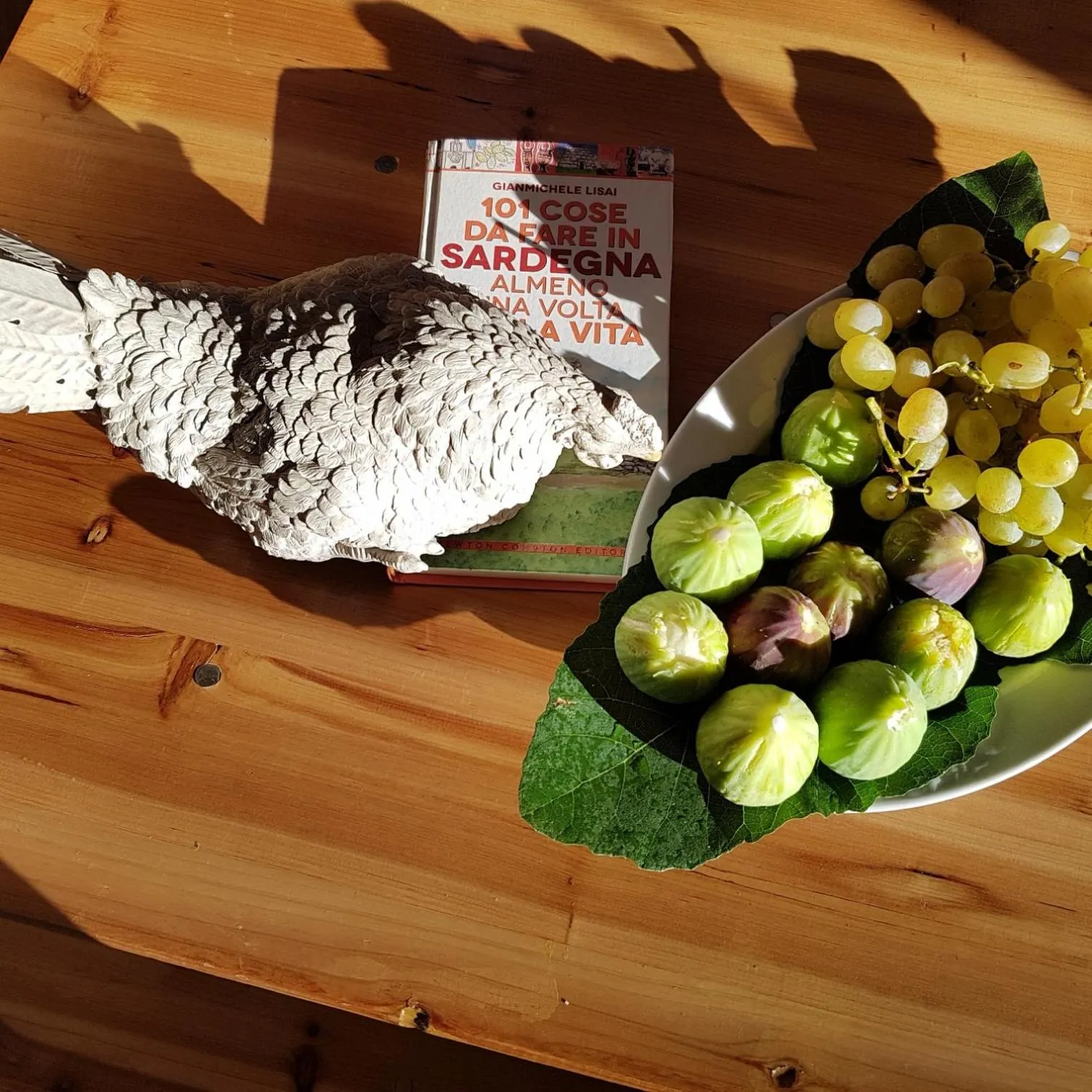 Summer in casa di campagna dal pozzo