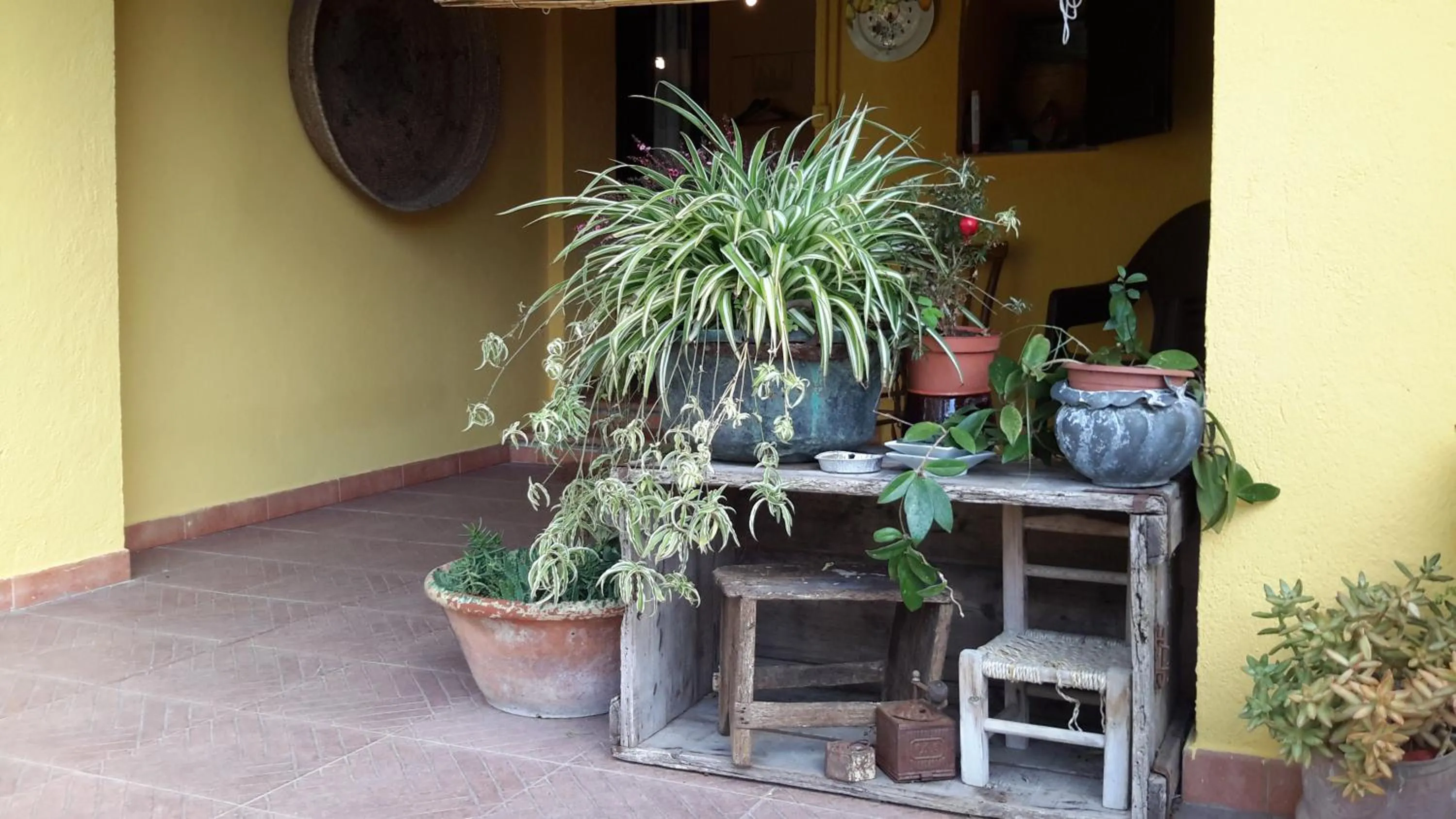 Garden view in casa di campagna dal pozzo