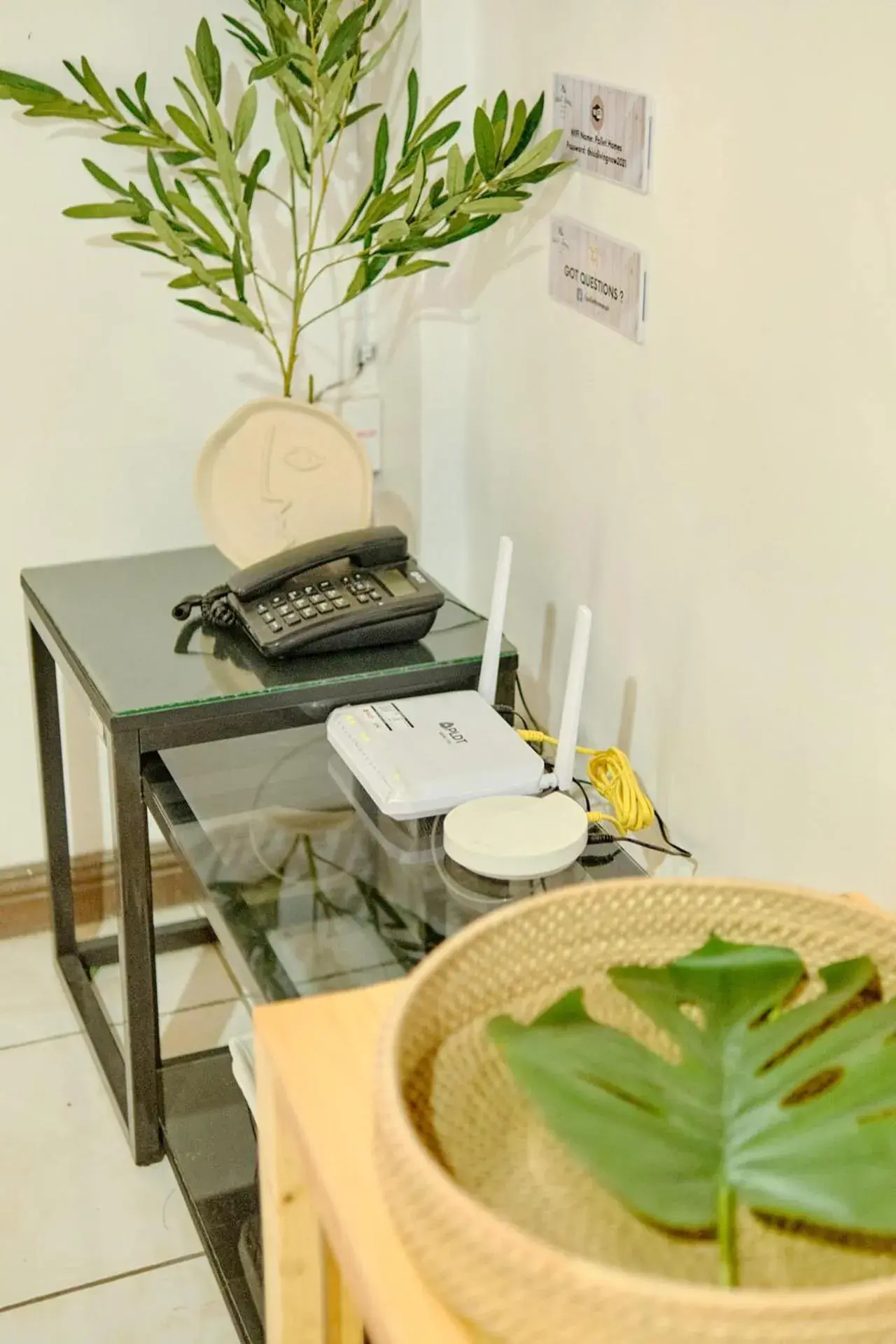 Property building in Pallet Homes - Ledesco Property building in Pallet Homes - Ledesco