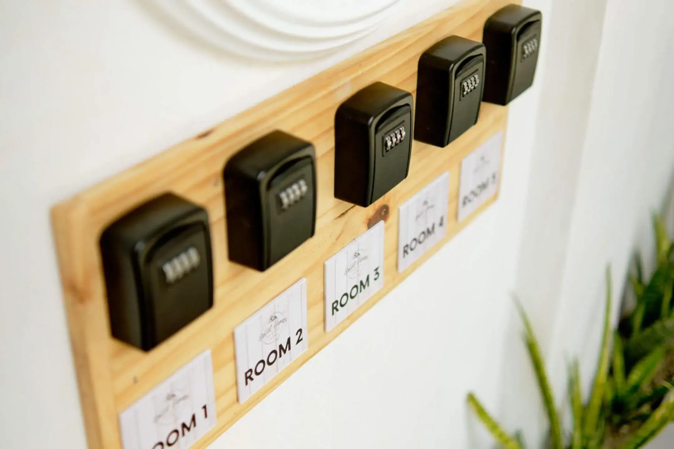 Property building in Pallet Homes - Ledesco Property building in Pallet Homes - Ledesco