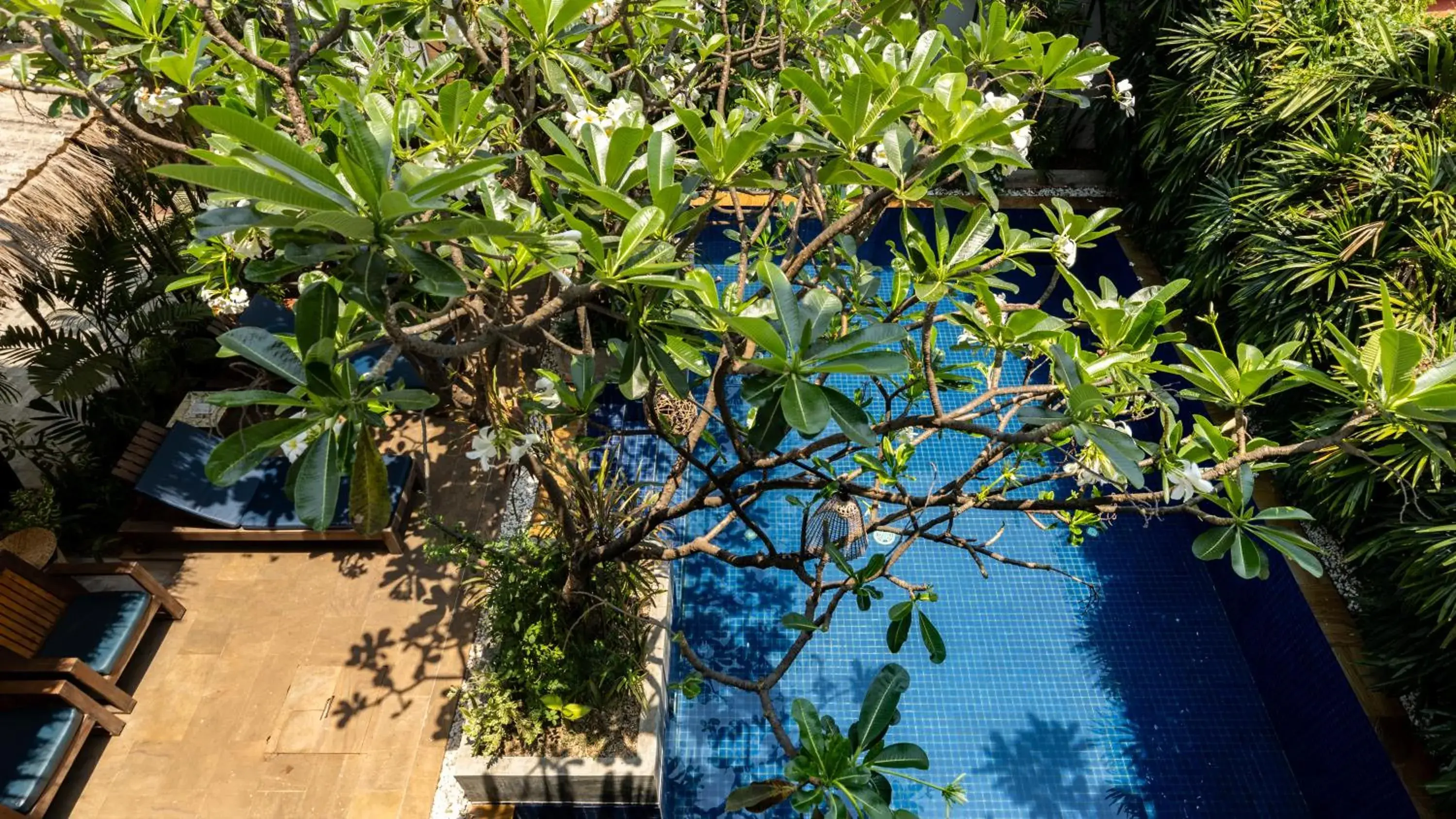 Swimming pool in Babel Boutique Swimming pool in Babel Boutique