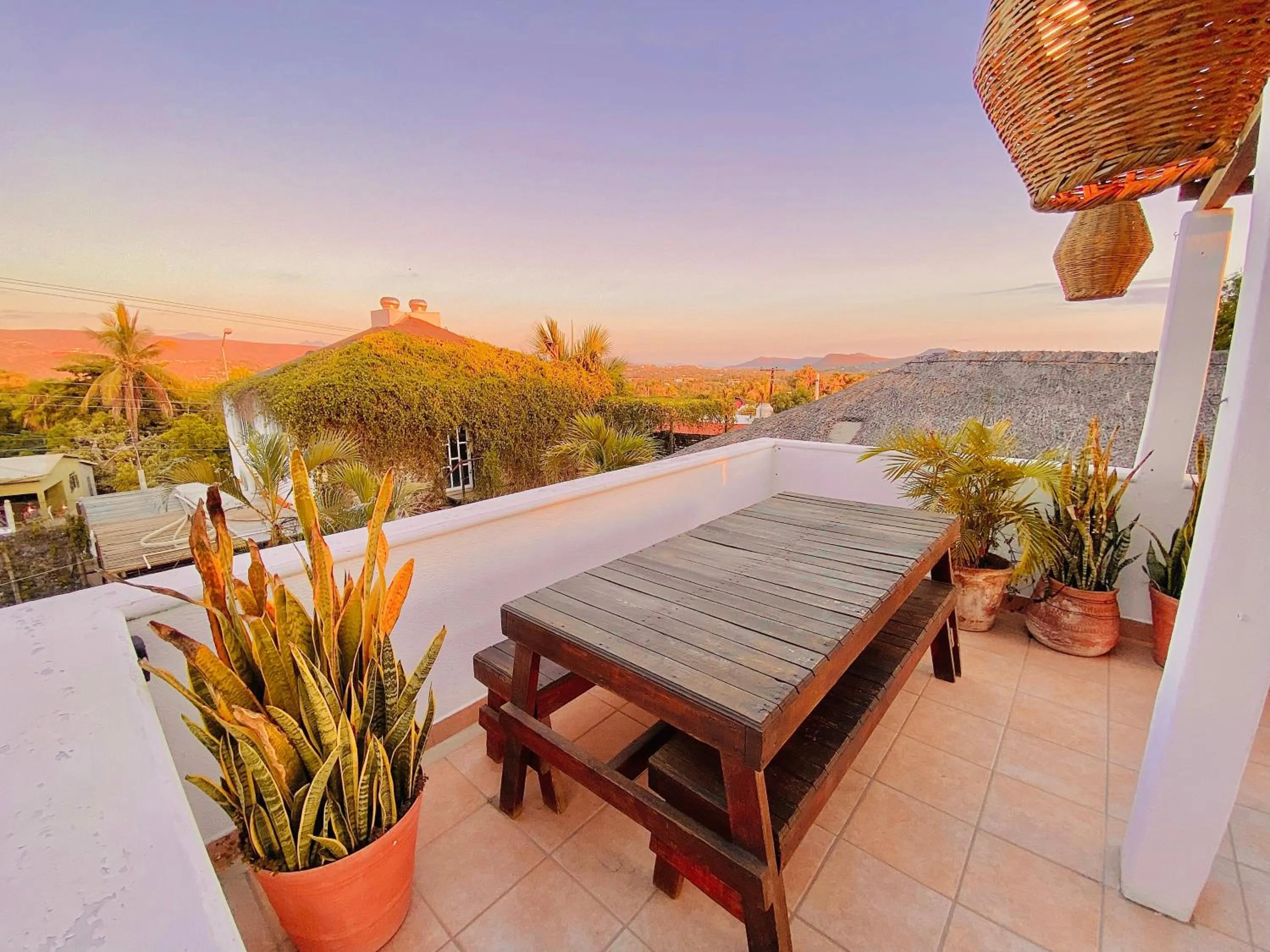 Patio in Perro Surfero Hotel Boutique - Todos Santos, BCS