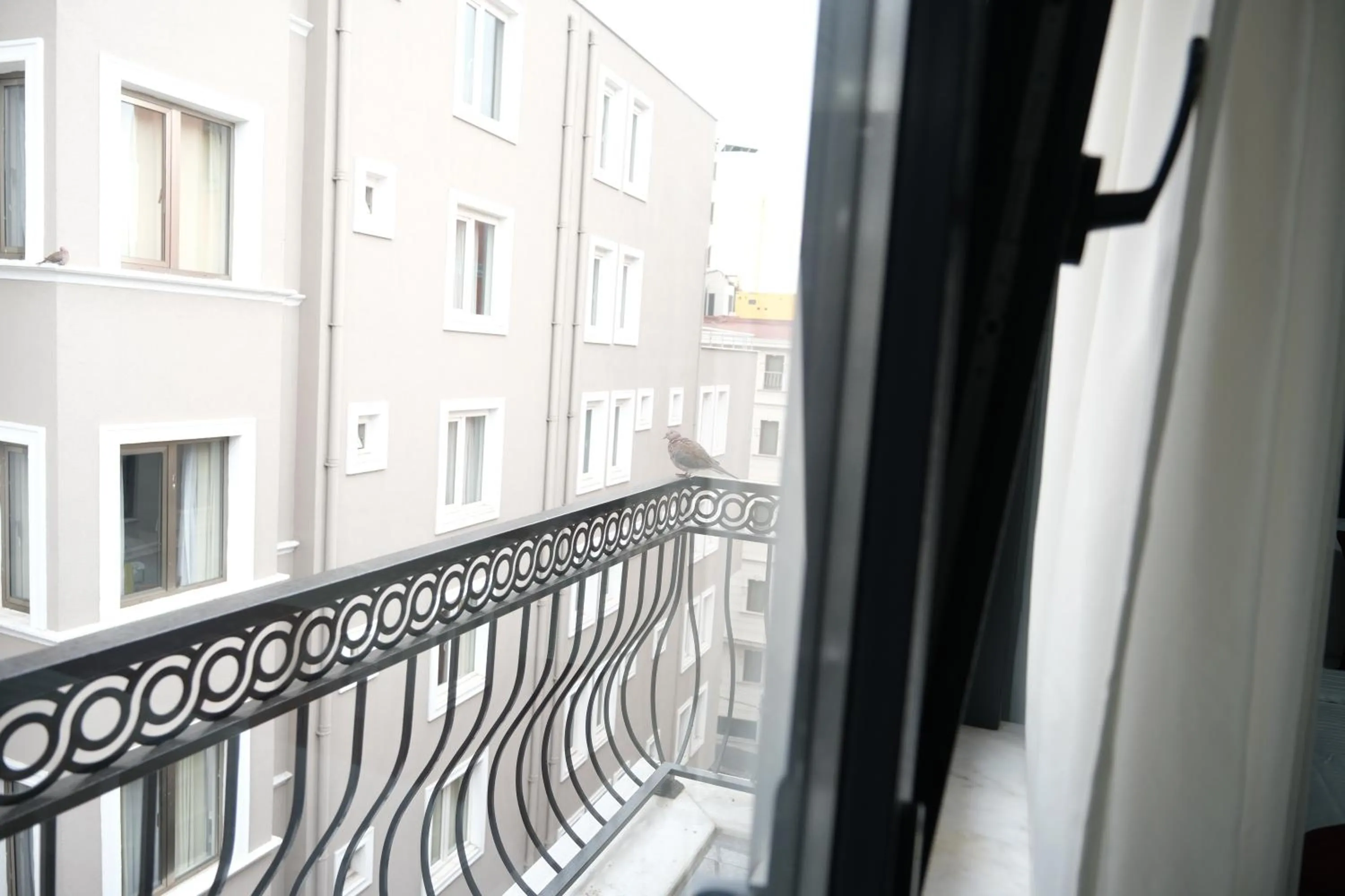 View (from property/room) in Yellow Mansion