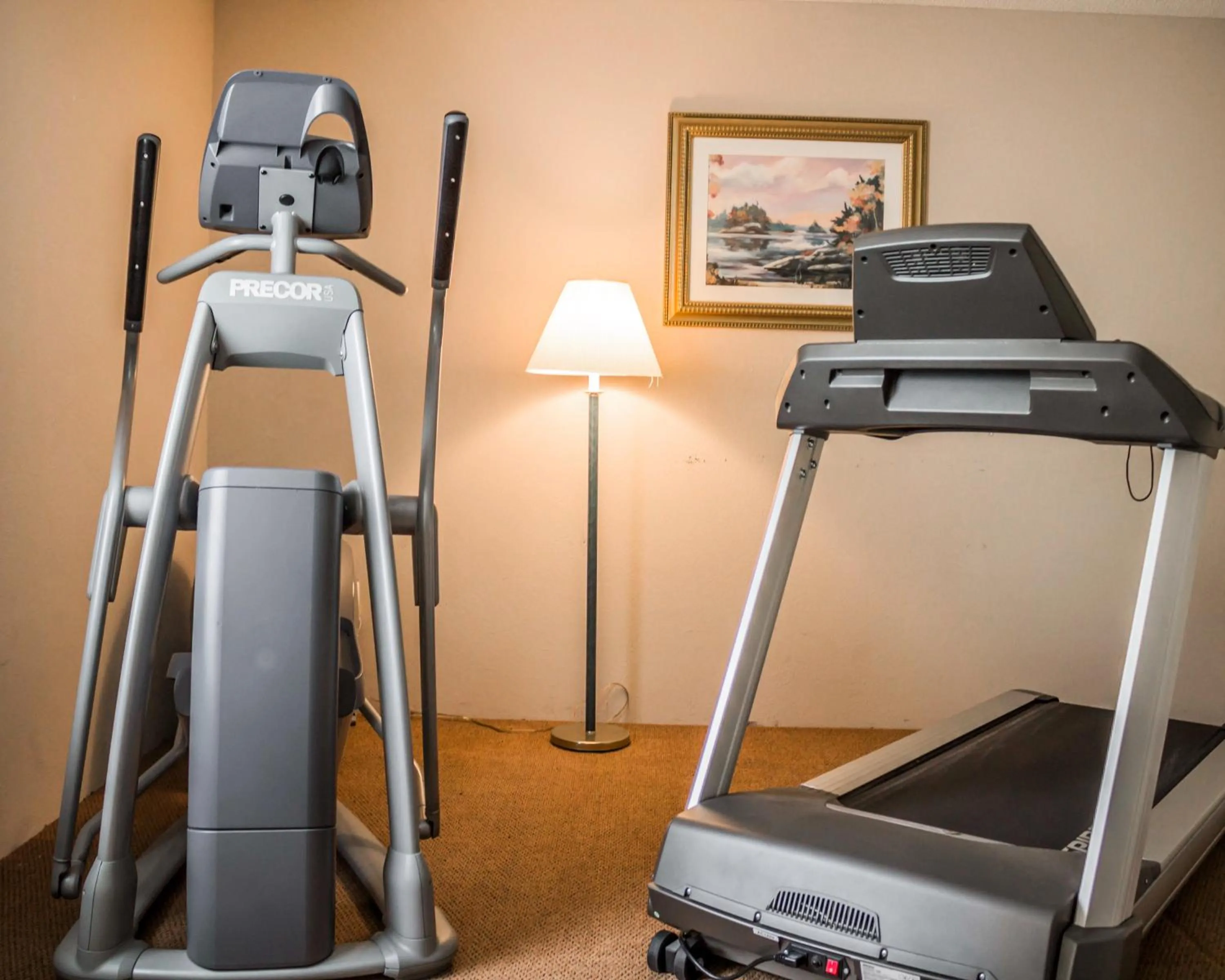 Fitness centre/facilities in Quality Inn & Suites