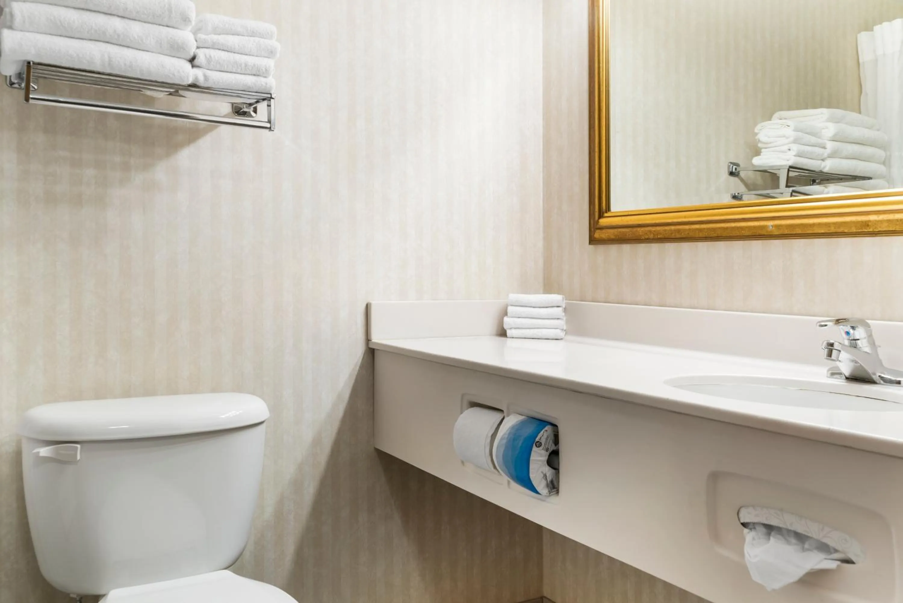 Bathroom in Quality Inn & Suites