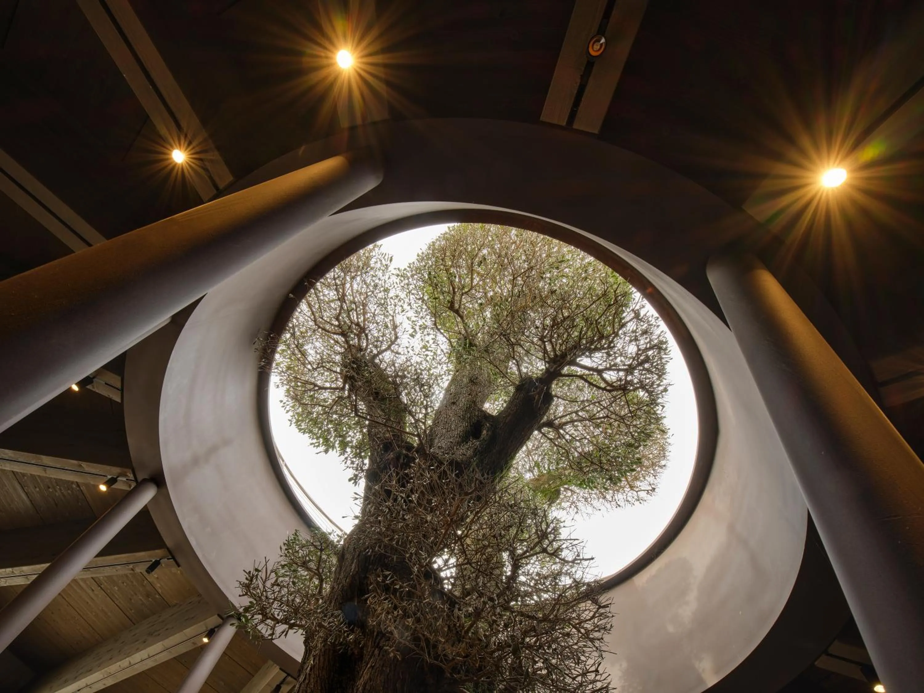 Lobby or reception in Collina Luxury Relais