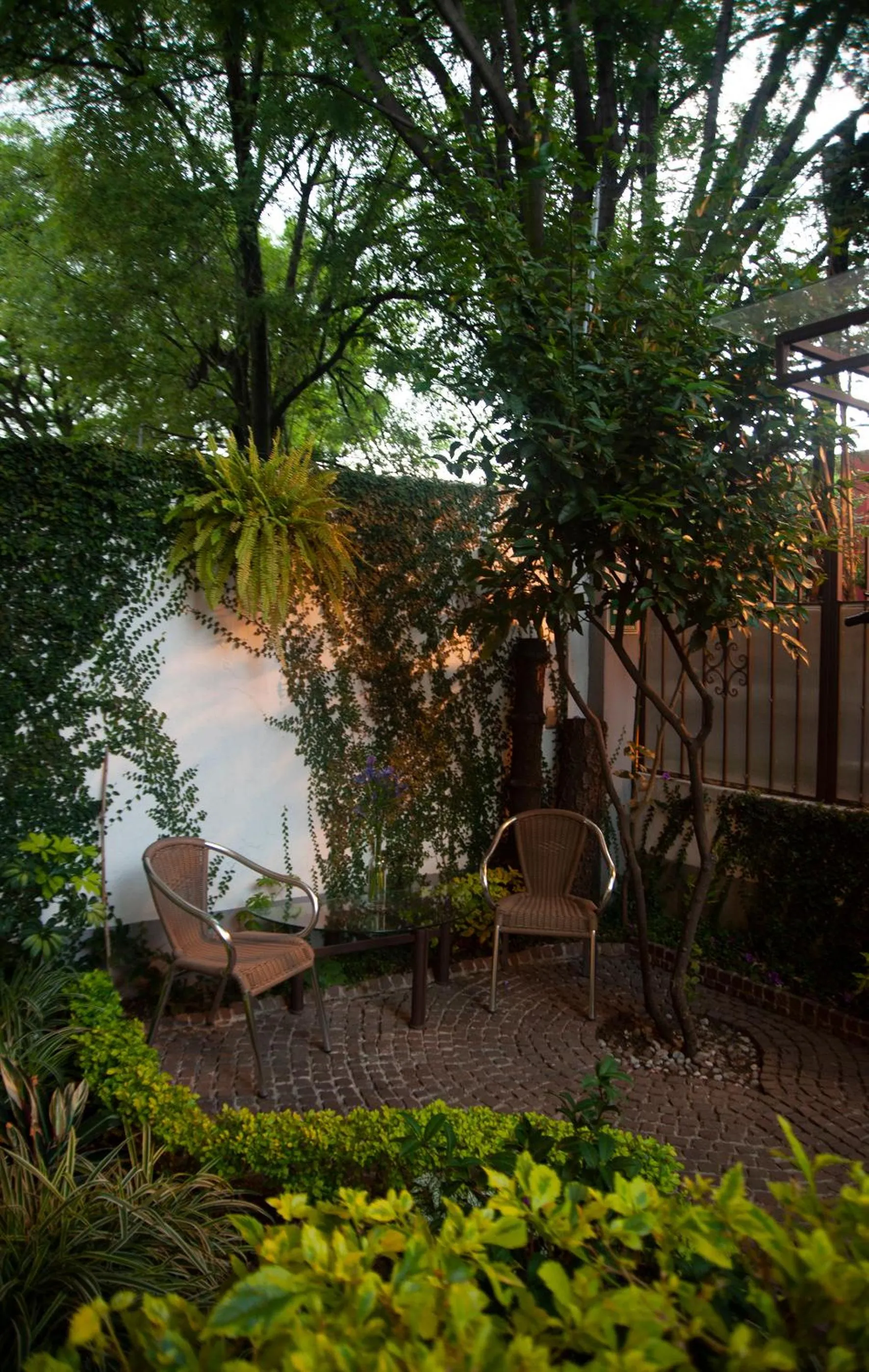 Garden in Chalet del Carmen, Coyoacán