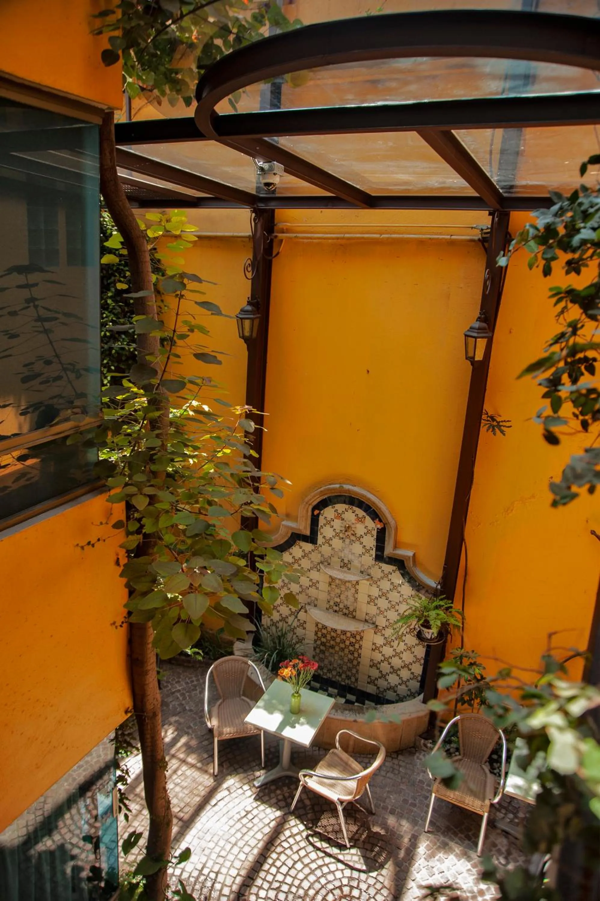 Garden in Chalet del Carmen, Coyoacán