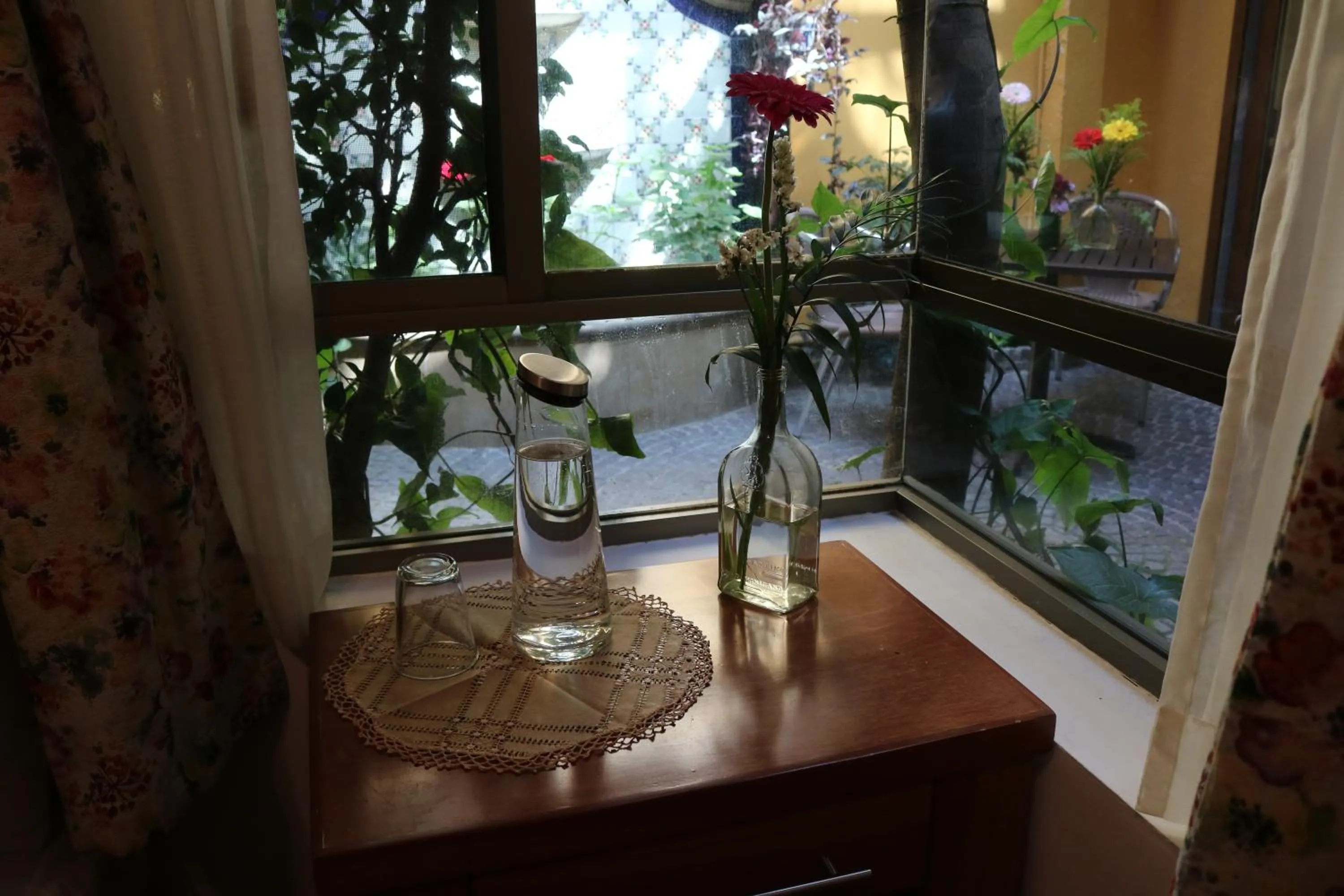 Garden view in Chalet del Carmen, Coyoacán