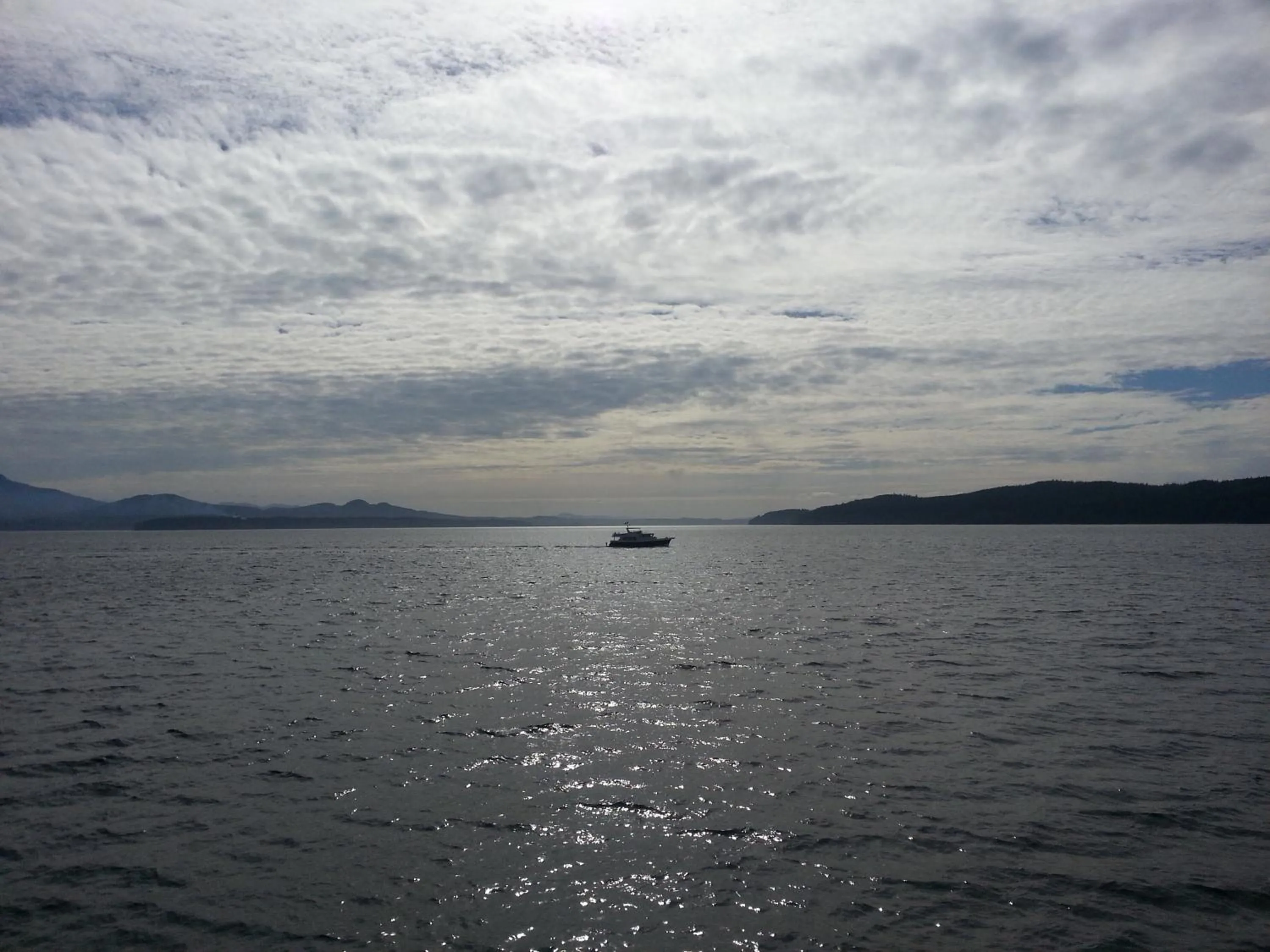 View (from property/room) in Orca Lodge