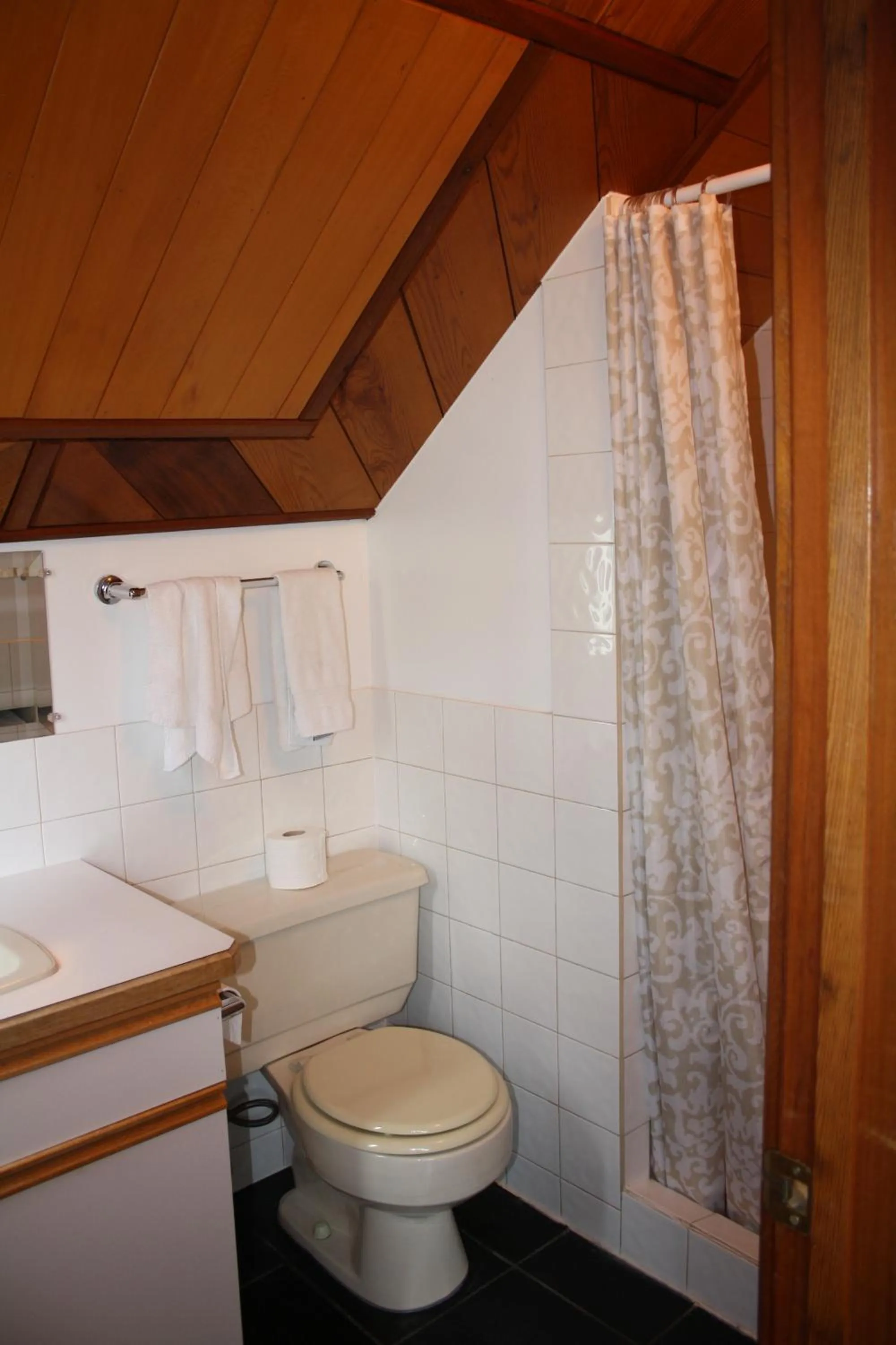 Bathroom in Orca Lodge