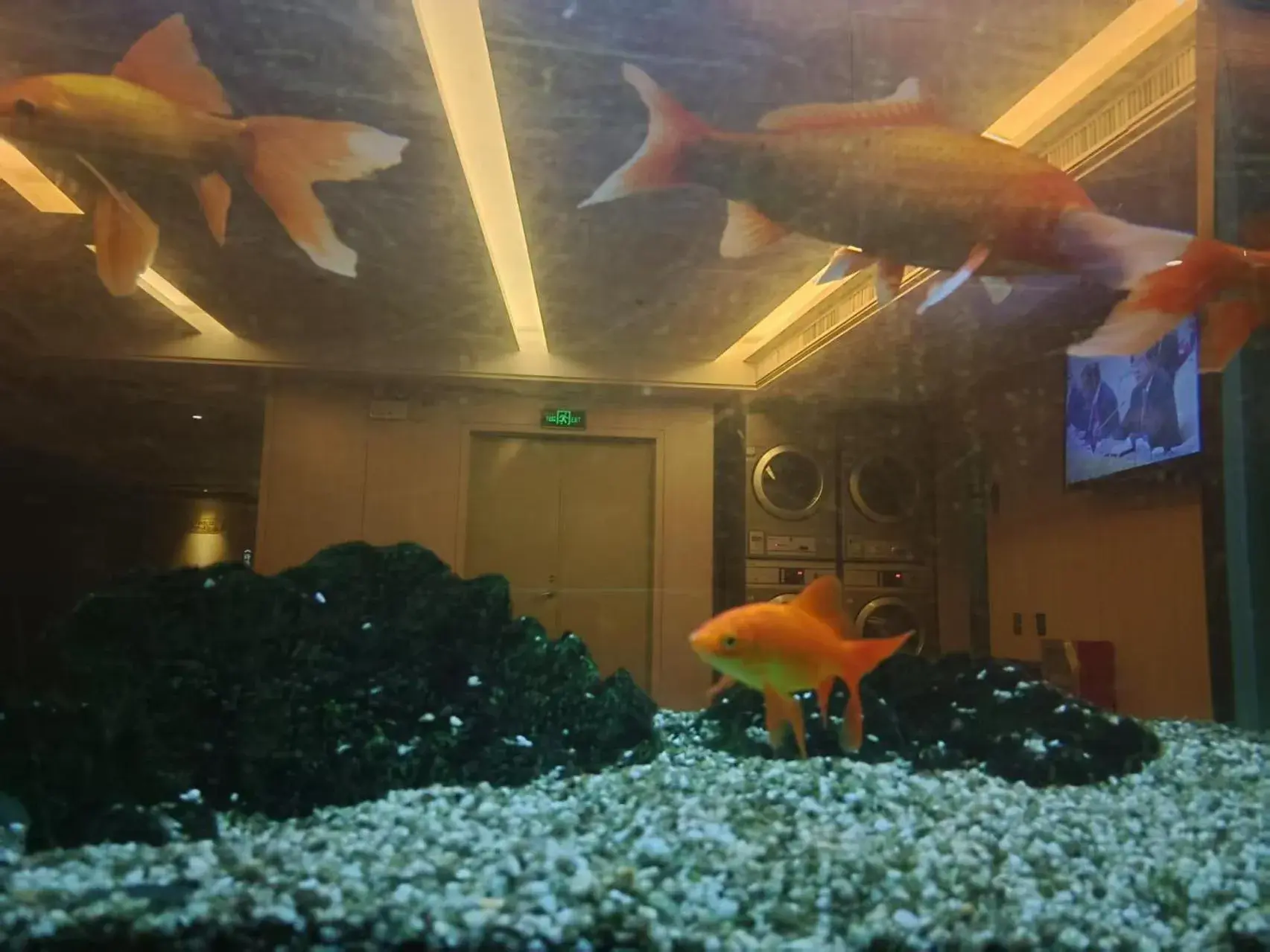 Property building in Paco Hotel Tianhe Coach Terminal Metro Satation Guangzhou-Free Shuttle Bus for Canton Fair Property building in Paco Hotel Tianhe Coach Terminal Metro Satation Guangzhou-Free Shuttle Bus for Canton Fair