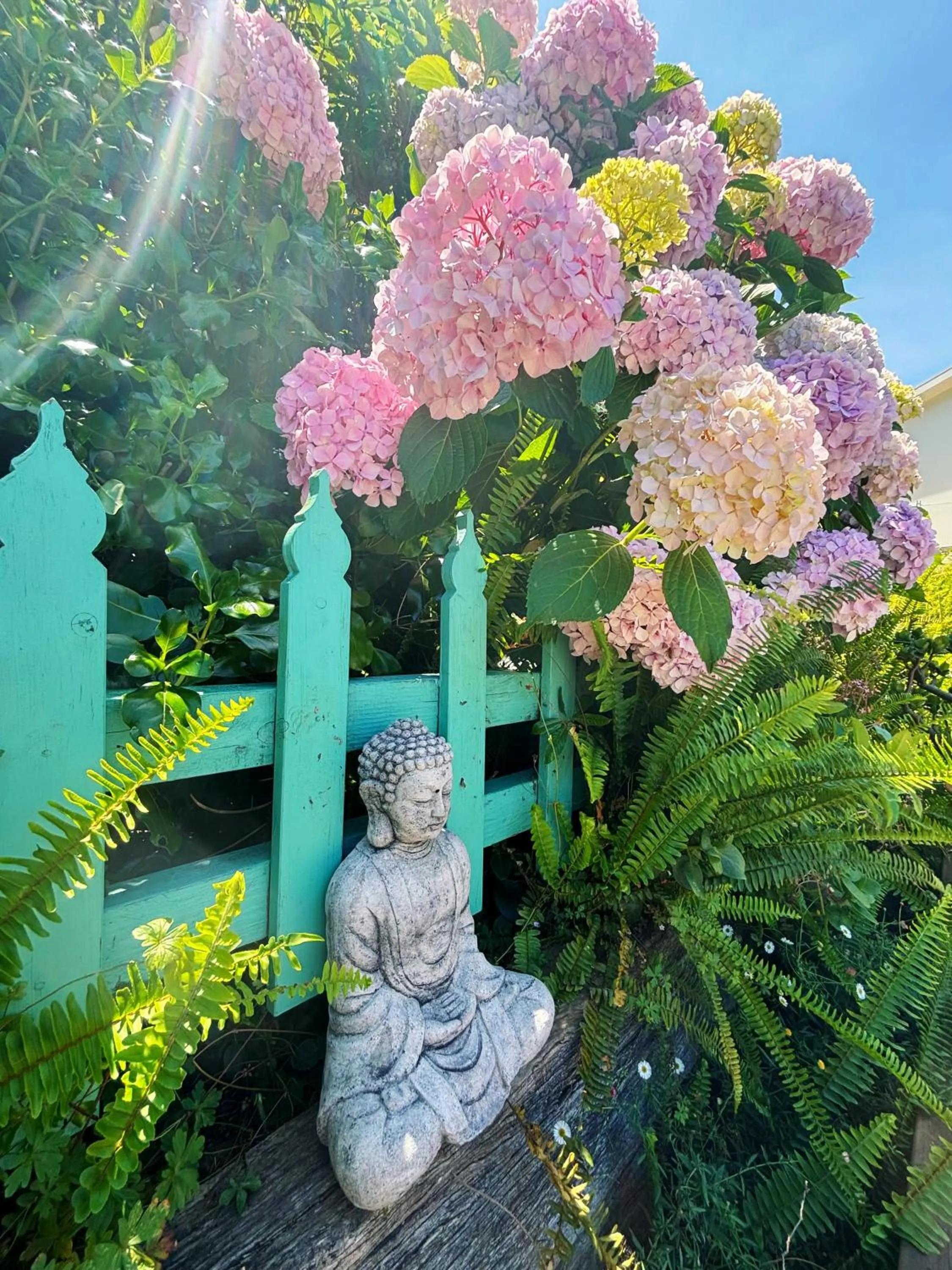 Property building in The Goat and Goose Bed & Breakfast