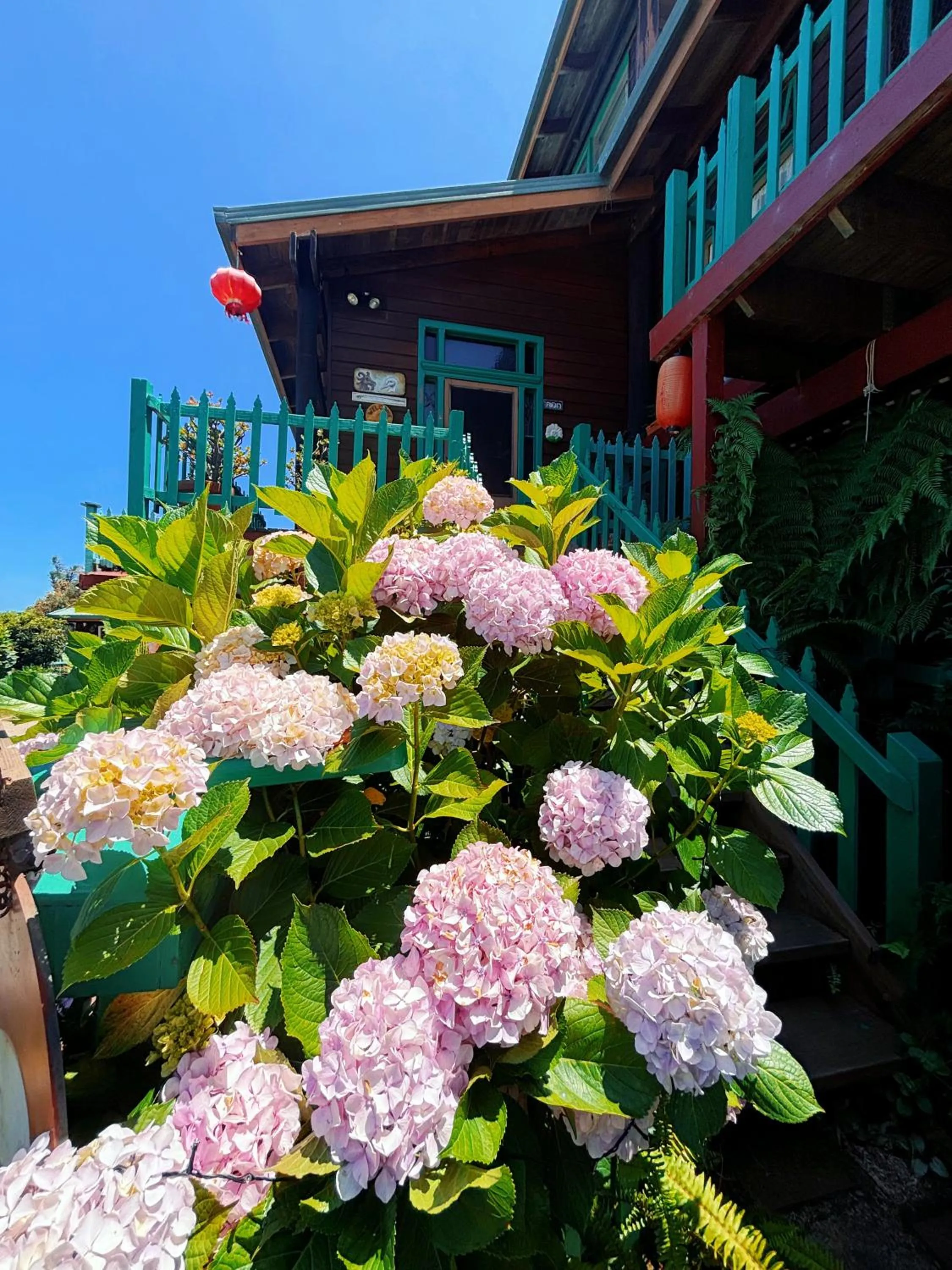 Property building in The Goat and Goose Bed & Breakfast