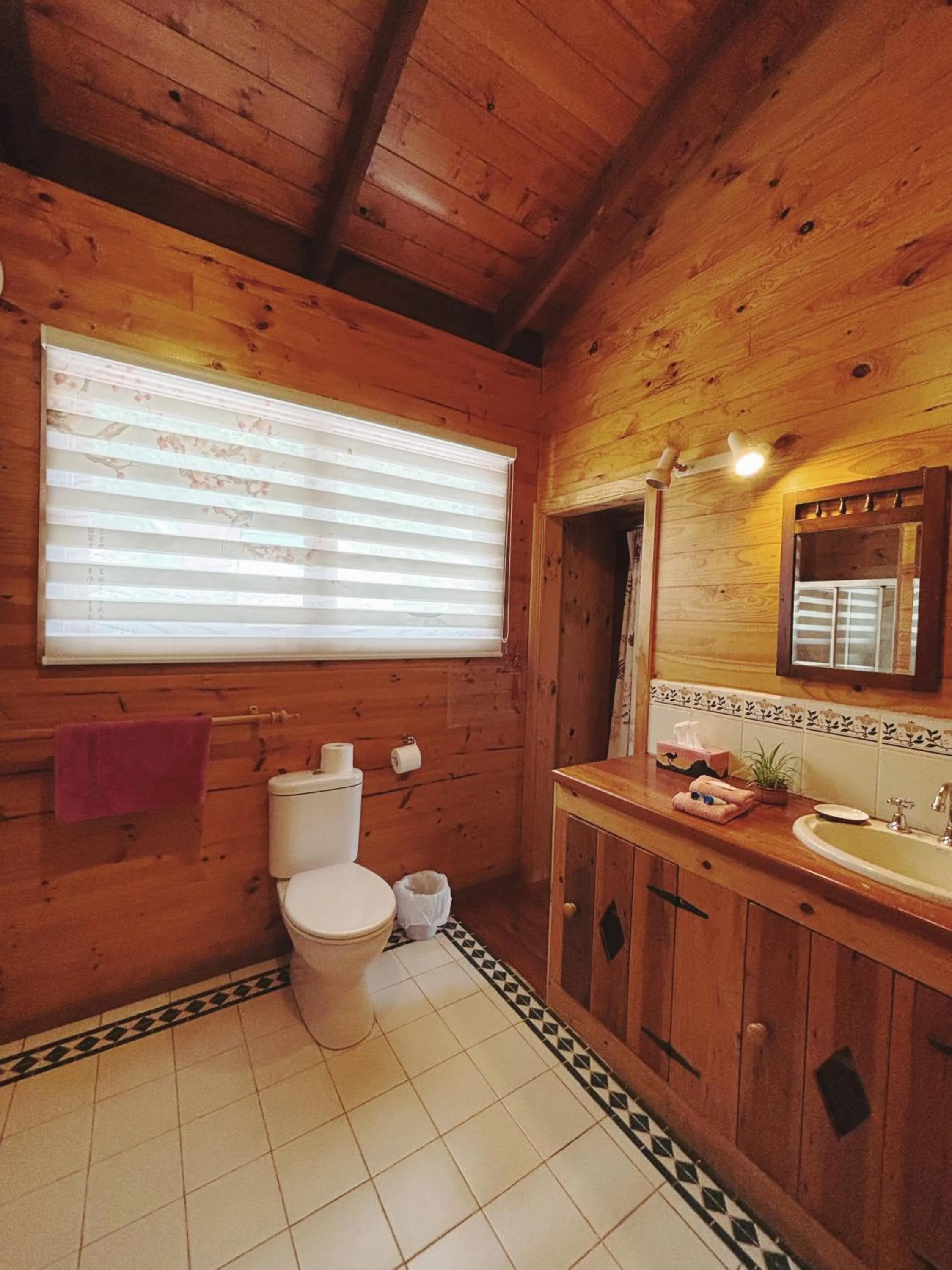 Toilet in The Goat and Goose Bed & Breakfast