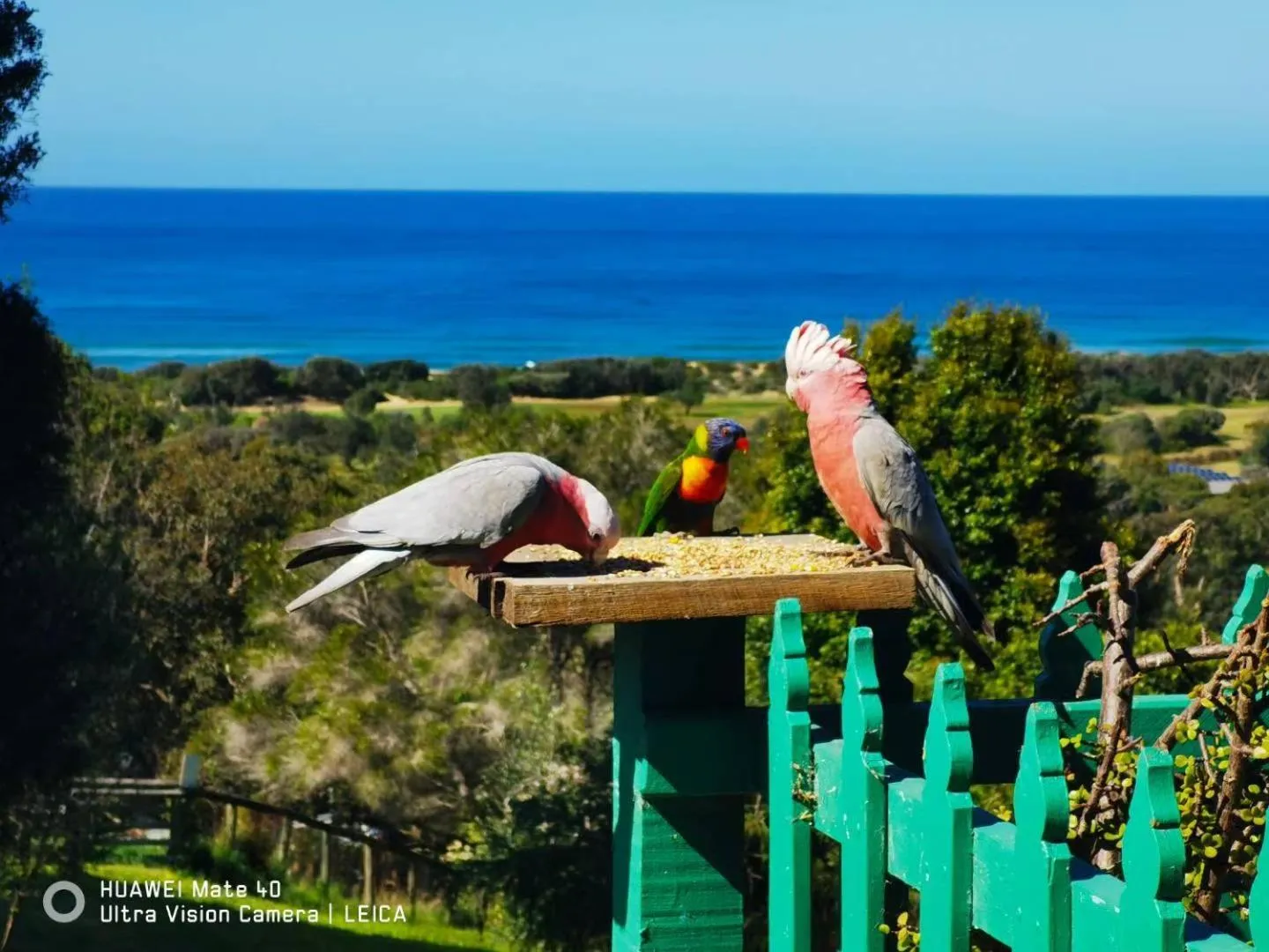 Property building in The Goat and Goose Bed & Breakfast