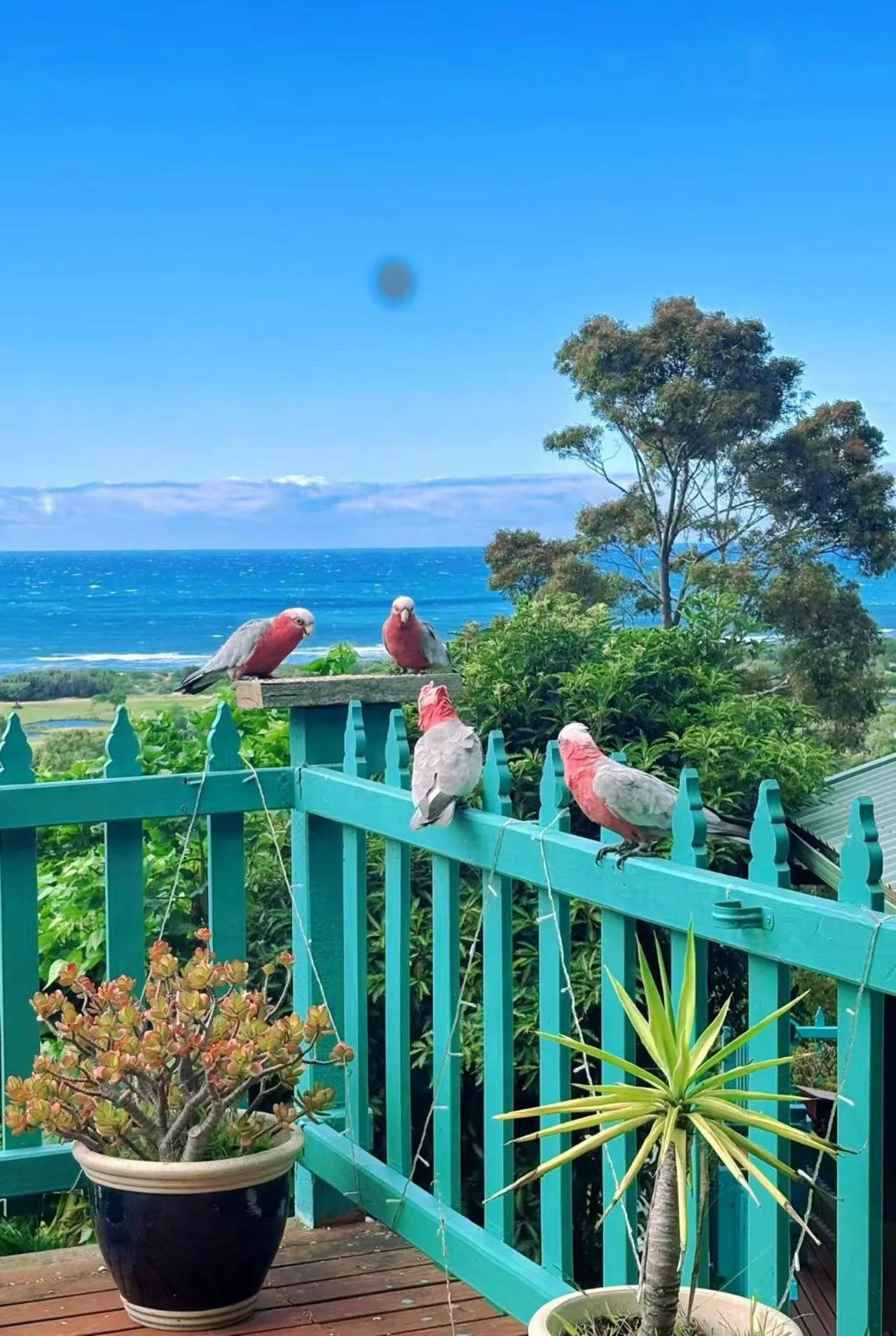 Natural landscape in The Goat and Goose Bed & Breakfast