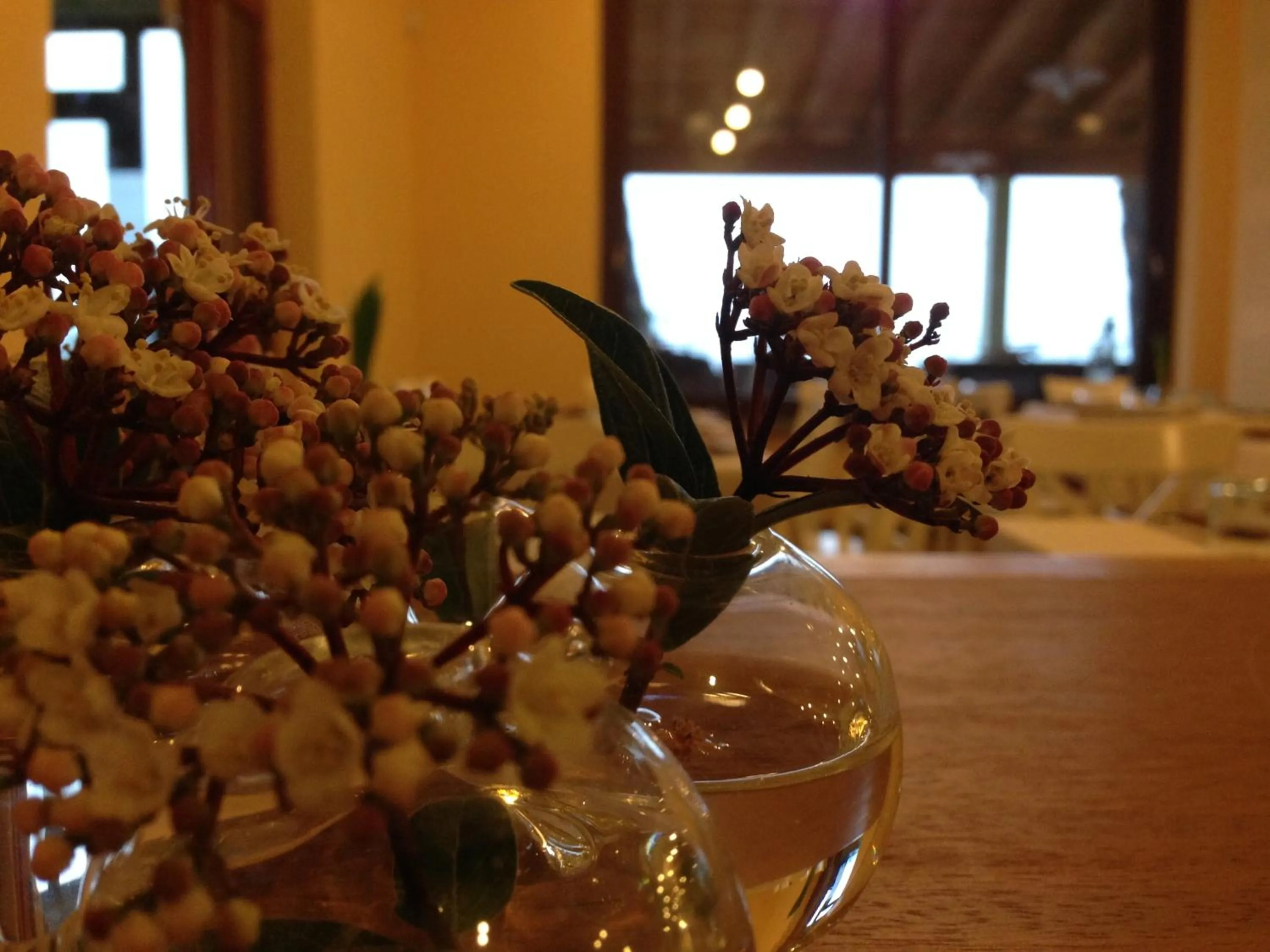 Restaurant/places to eat in La Trigola