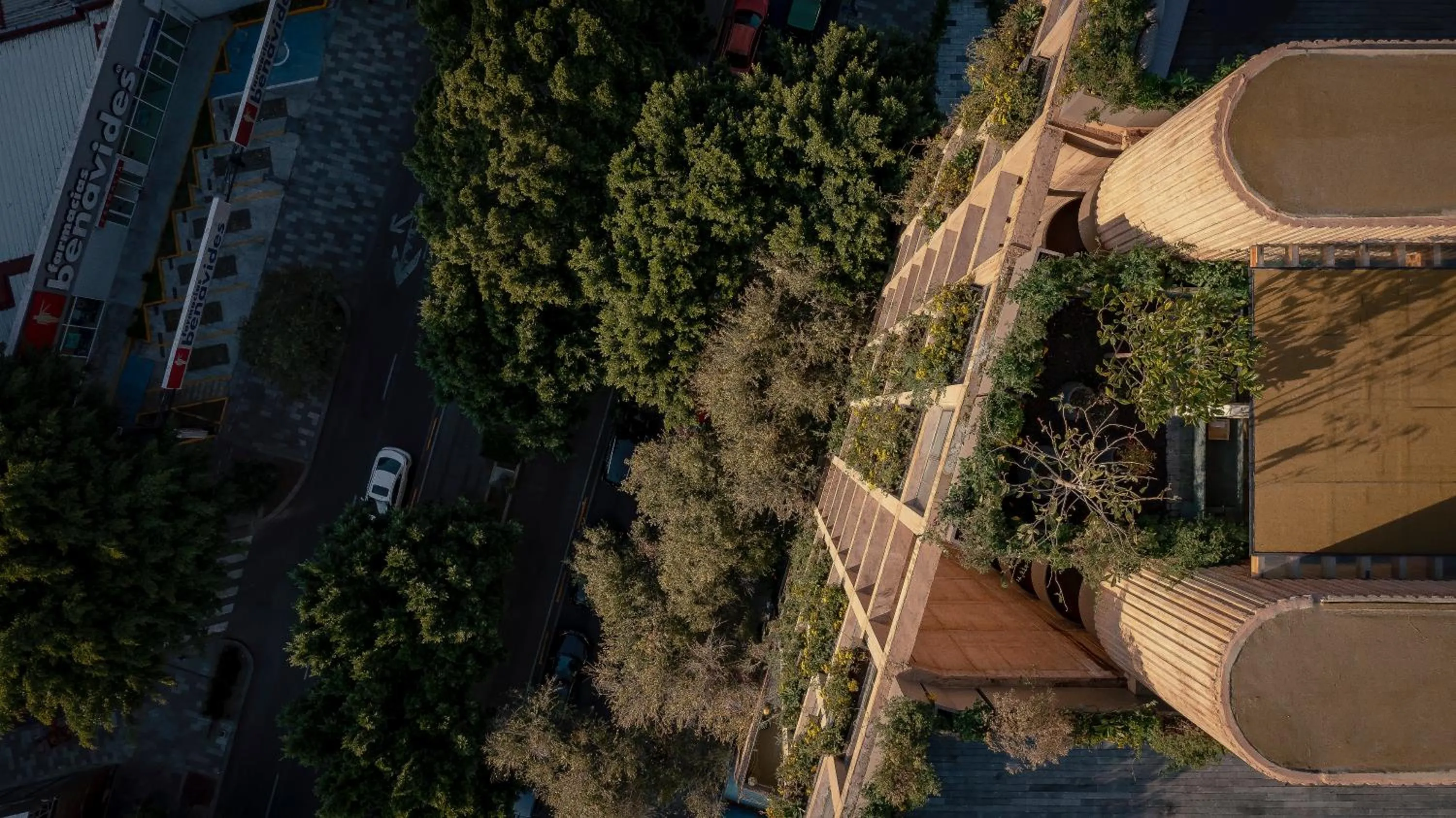 Property building in ONTO Tonalá Mexico City