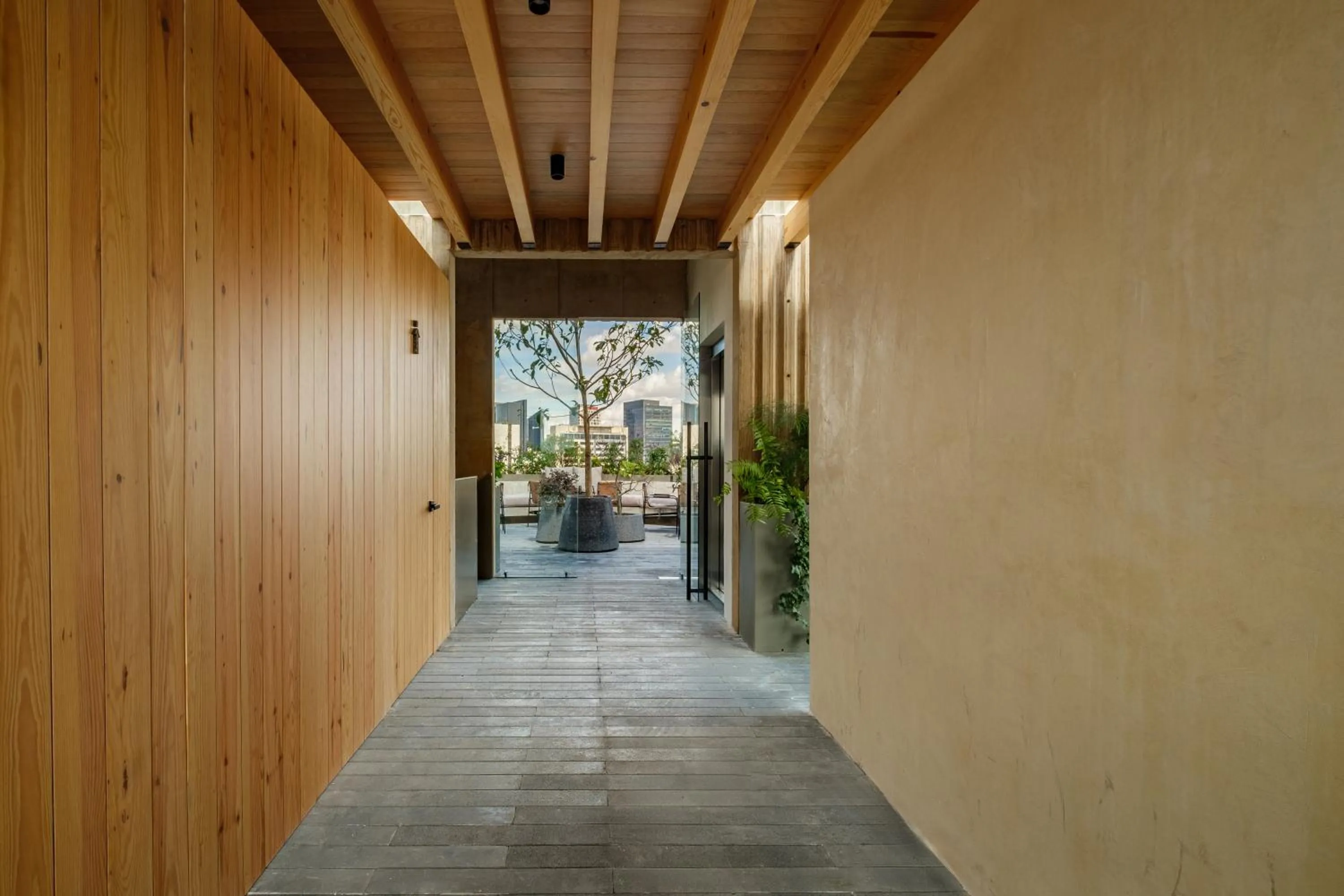 Day in ONTO Tonalá Mexico City