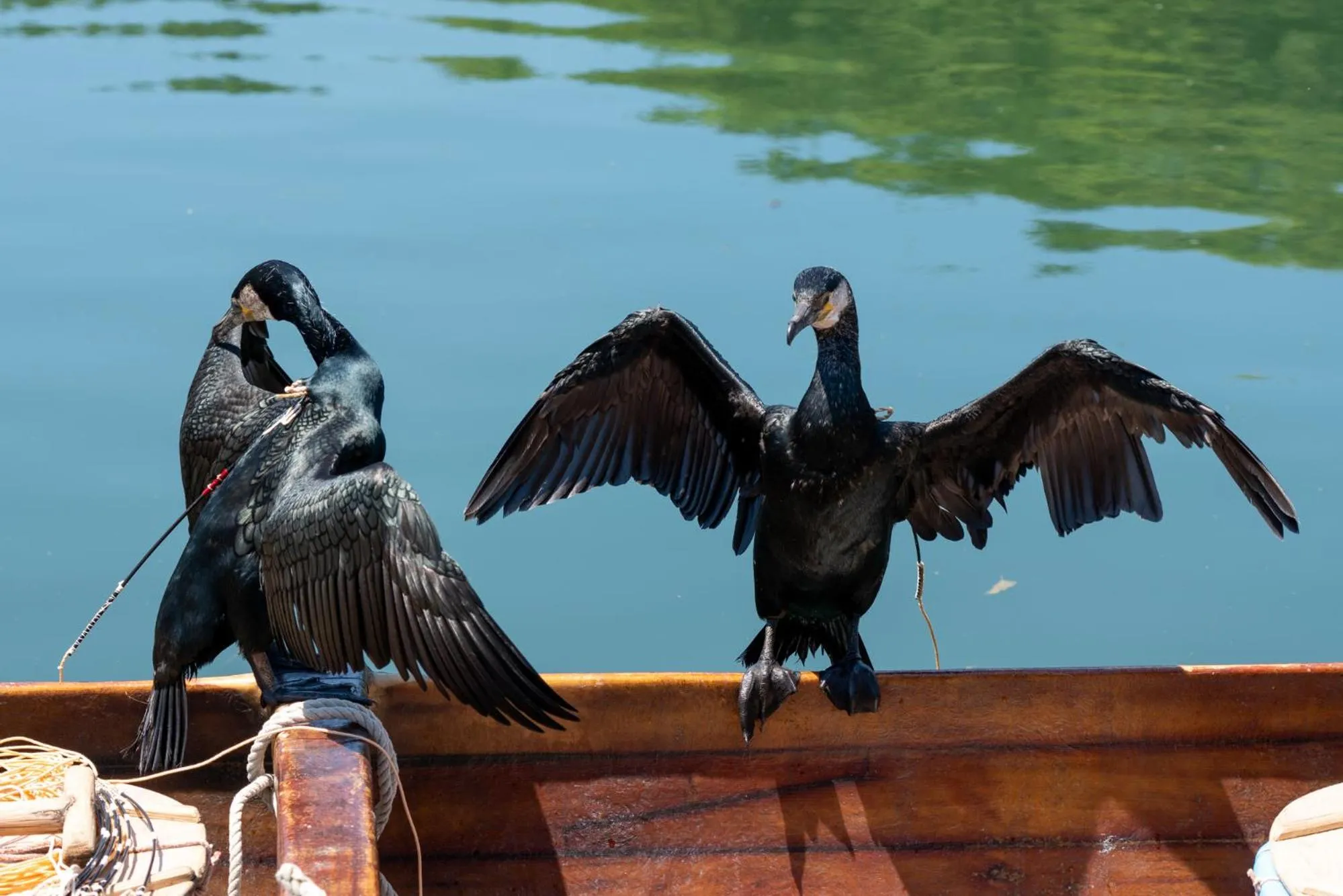 Nearby landmark in Fuji Sakura Onsen Ryokan