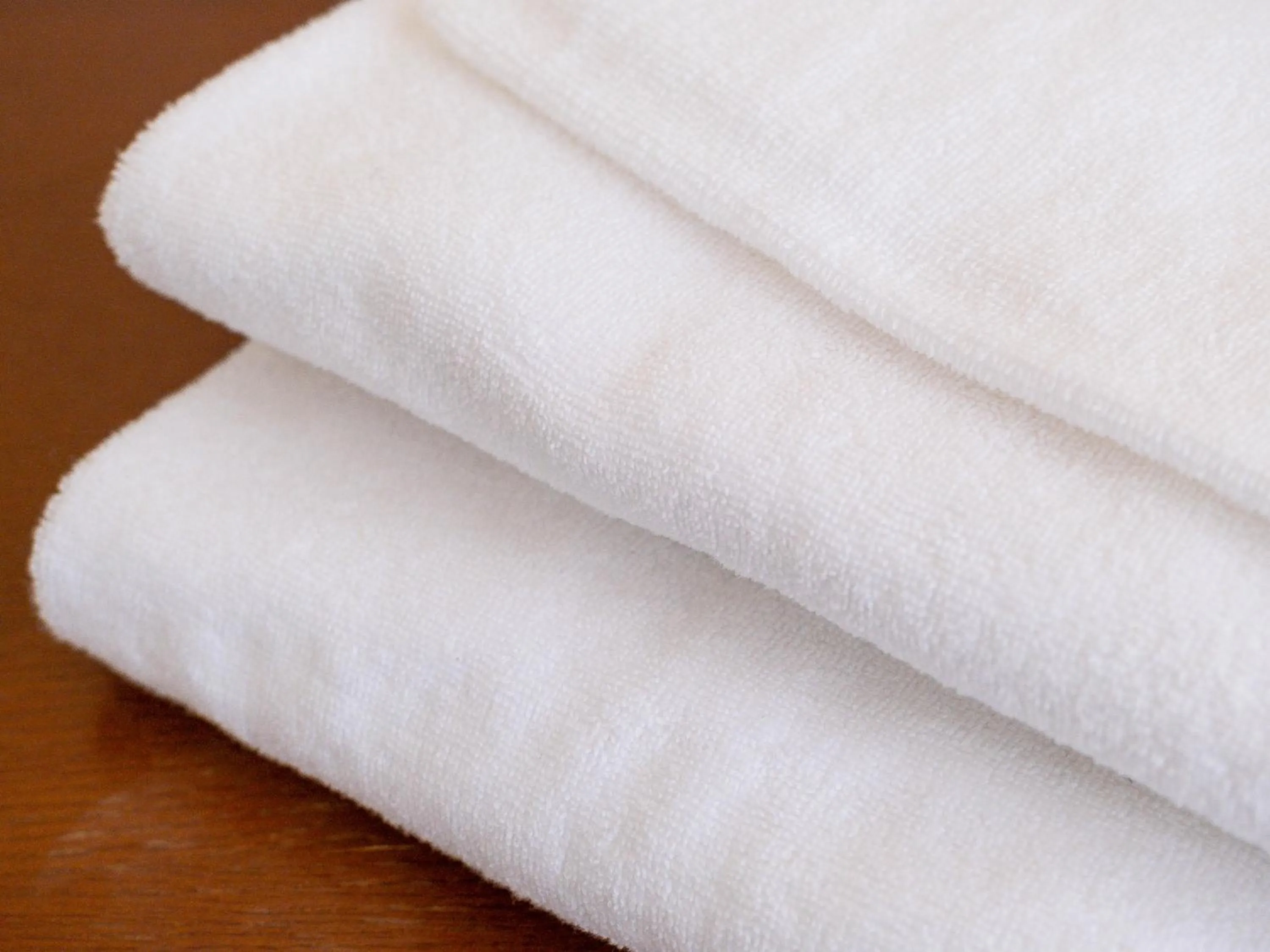 Photo of the whole room in Fuji Sakura Onsen Ryokan