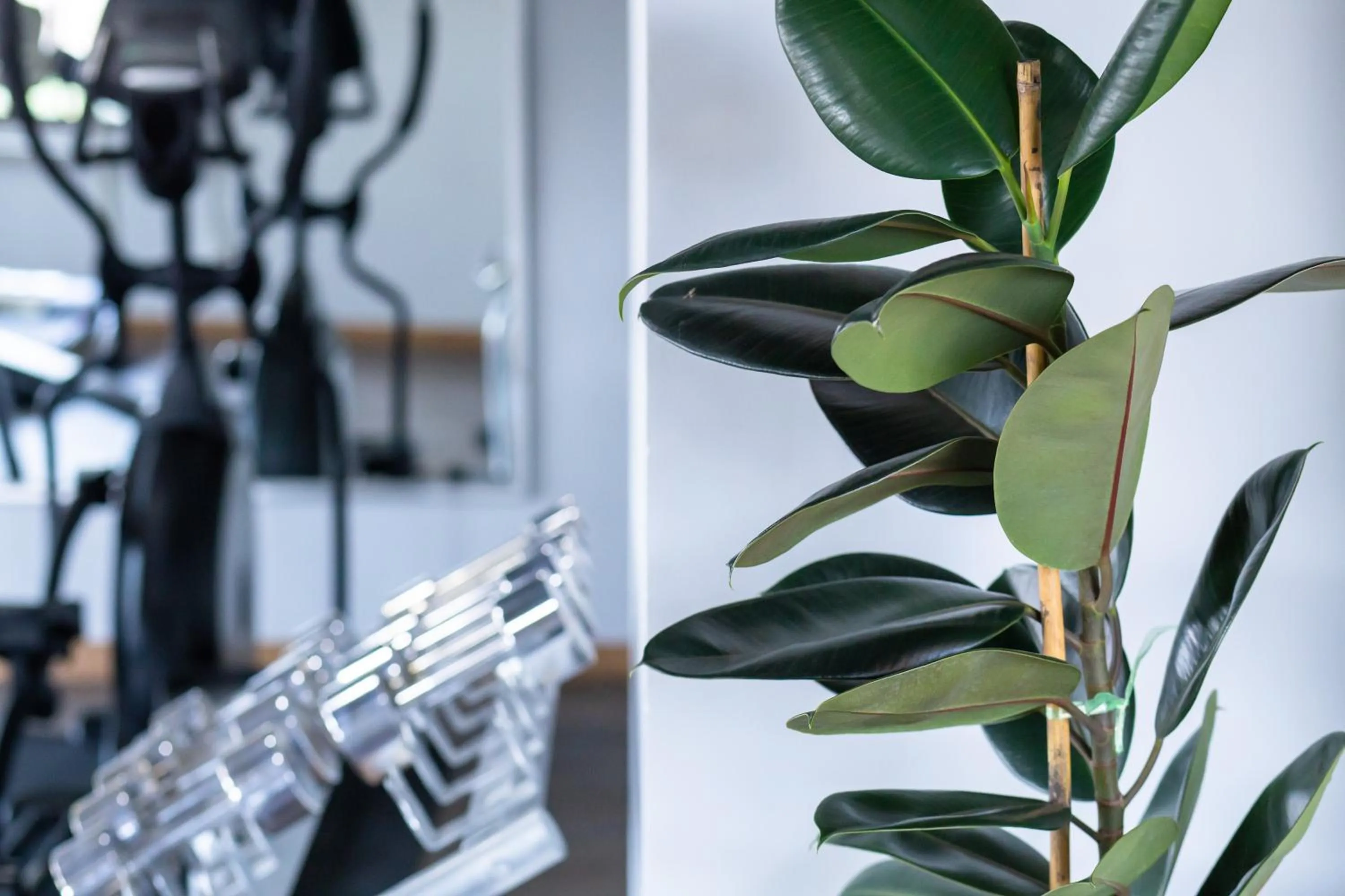 Fitness centre/facilities in Jazzotel Bangkok