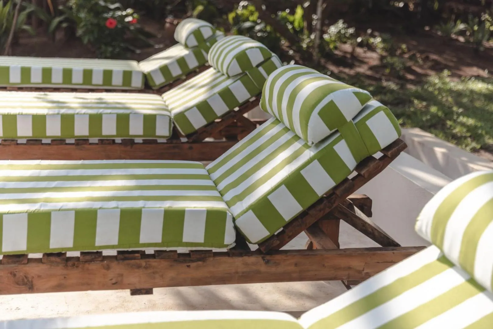 Day in Bamboo House B&B