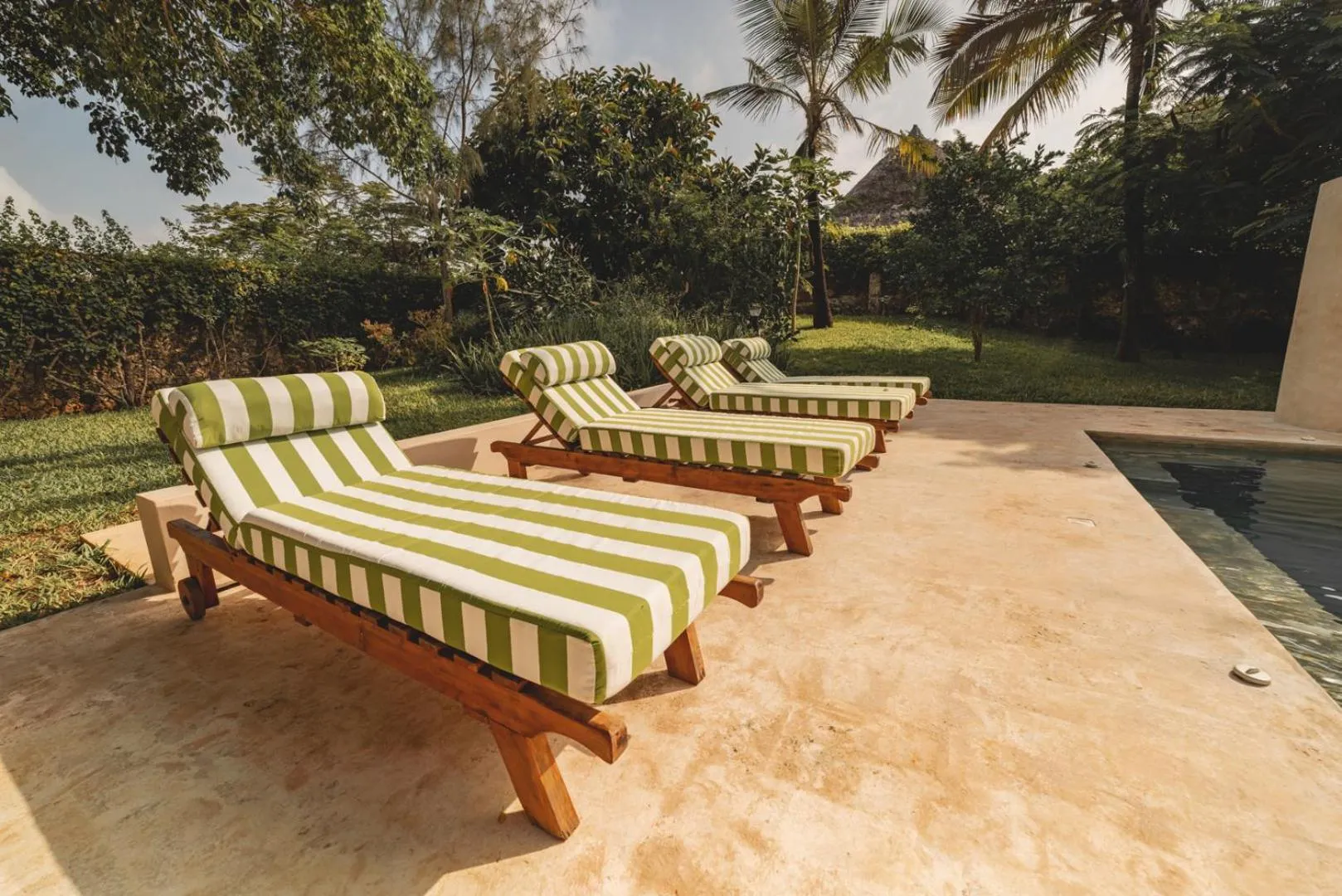 Garden view in Bamboo House B&B