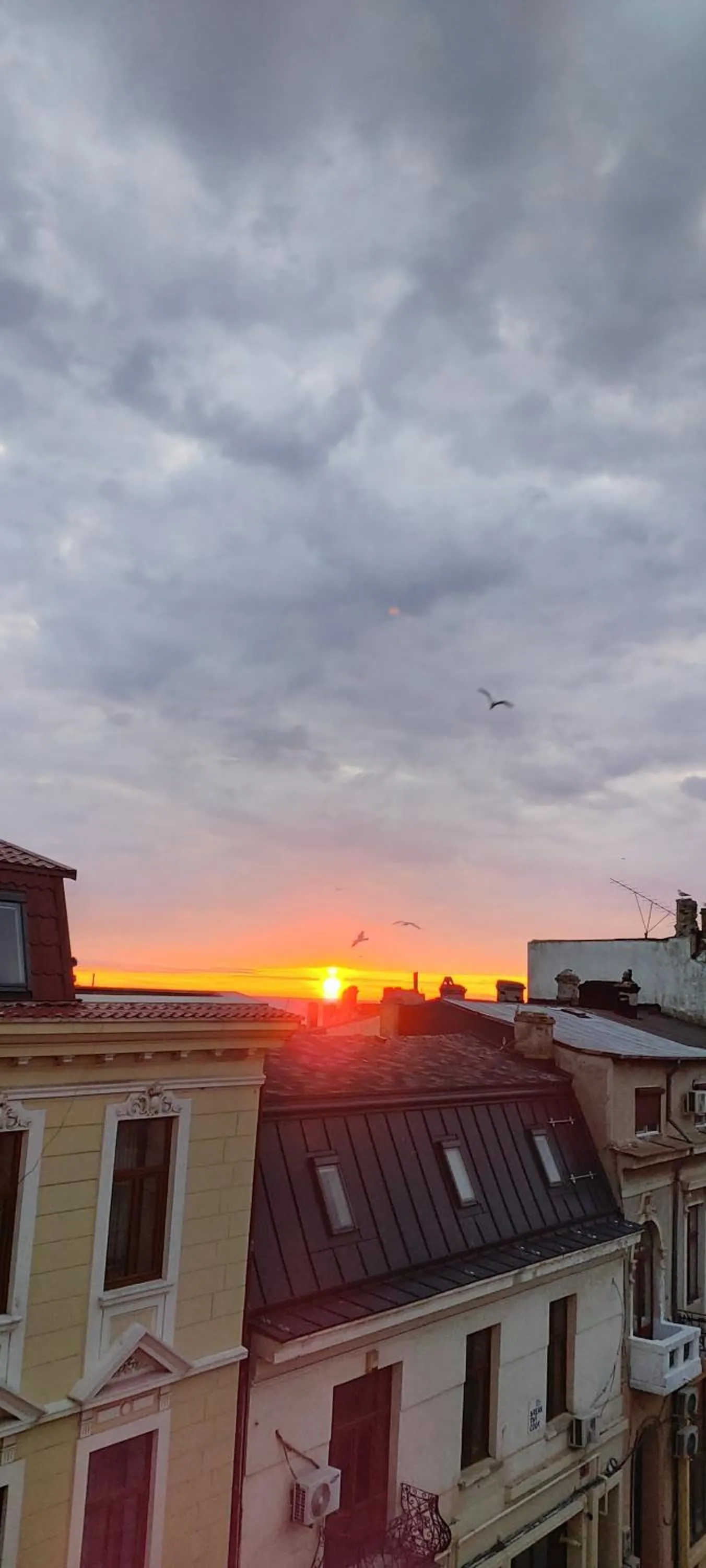 Sunrise in Villa Anticus (Adults Only)