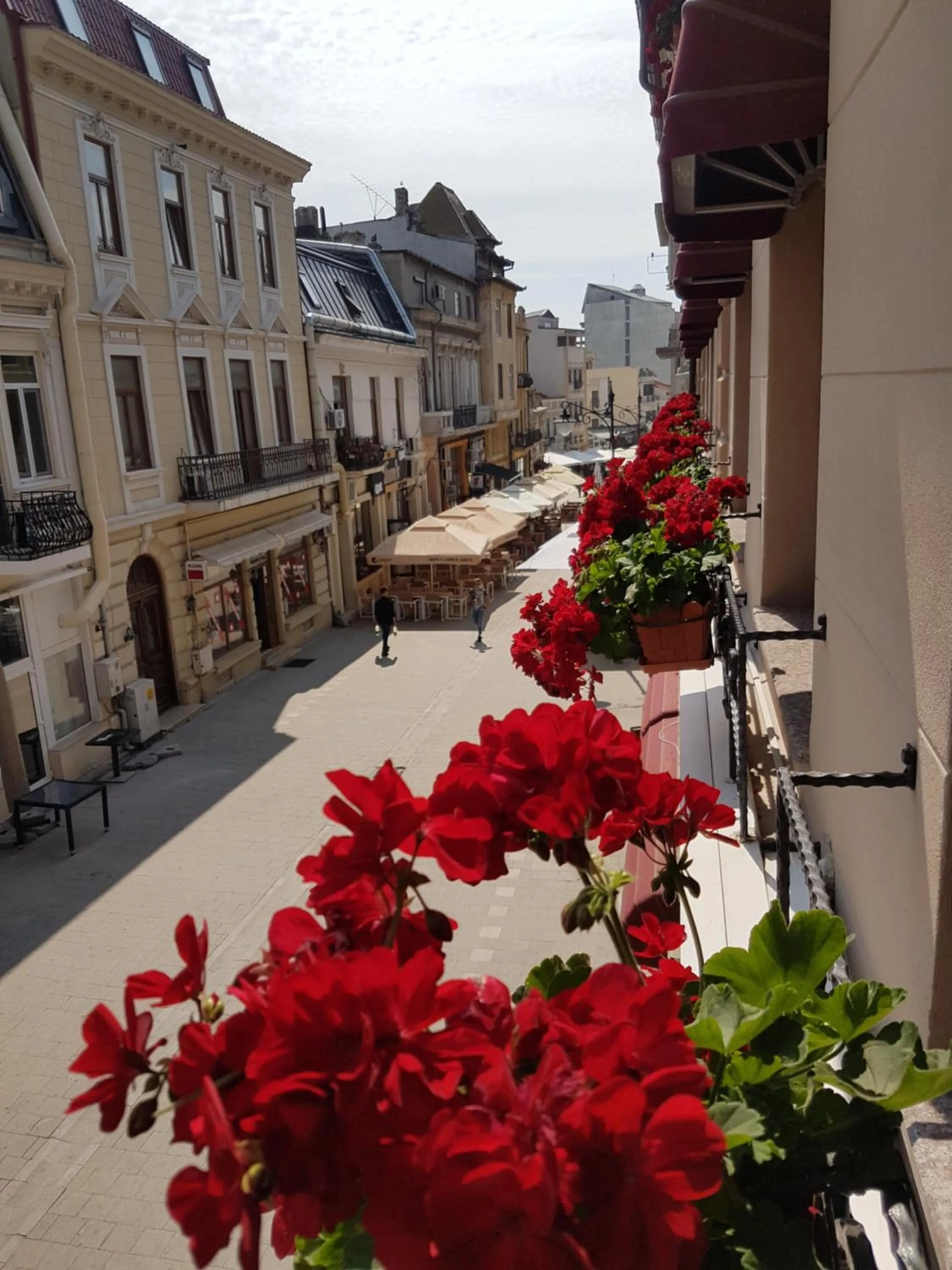 Neighbourhood in Villa Anticus (Adults Only)