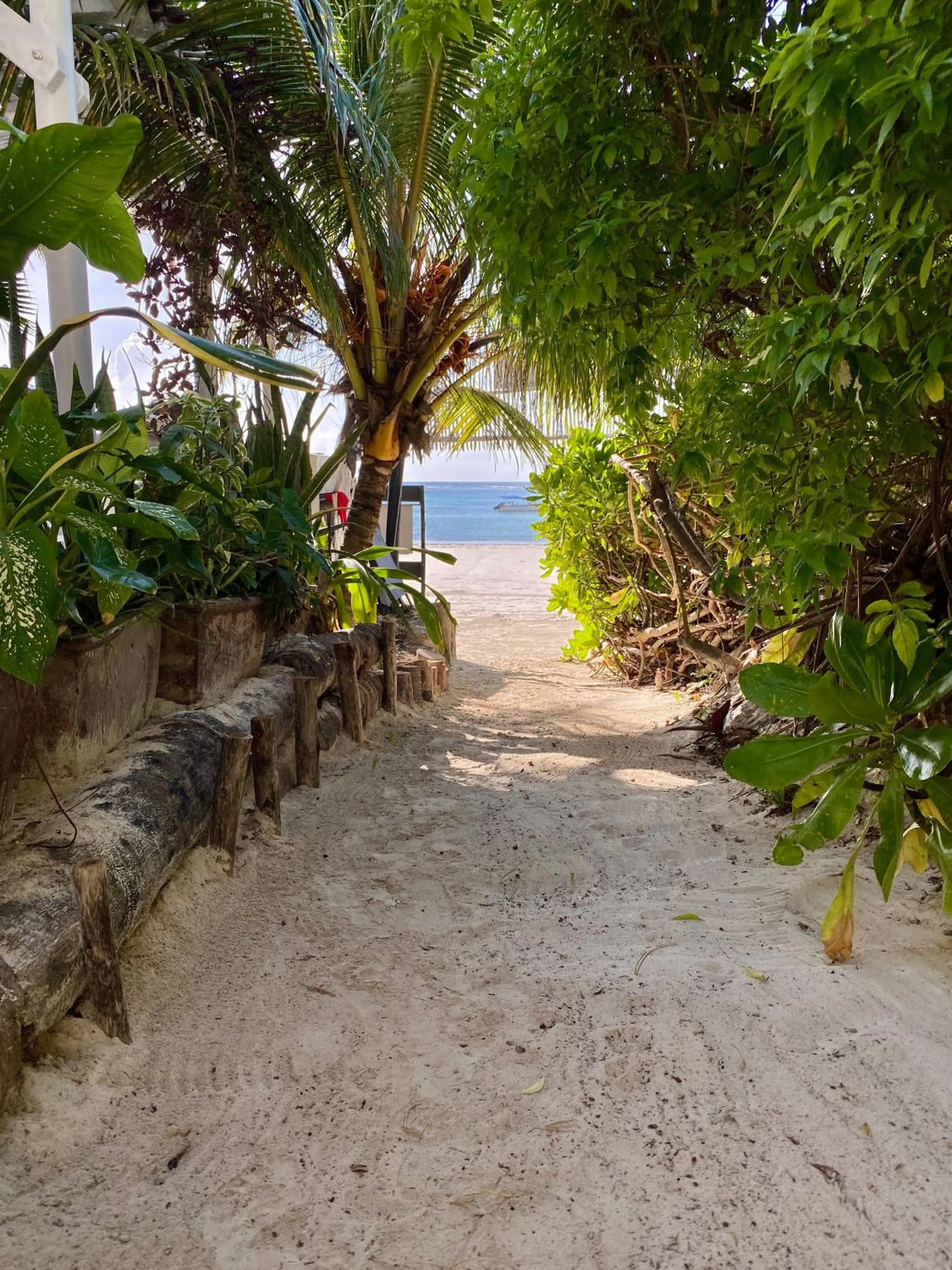 Facade/entrance in The Seles Boutique Hotel