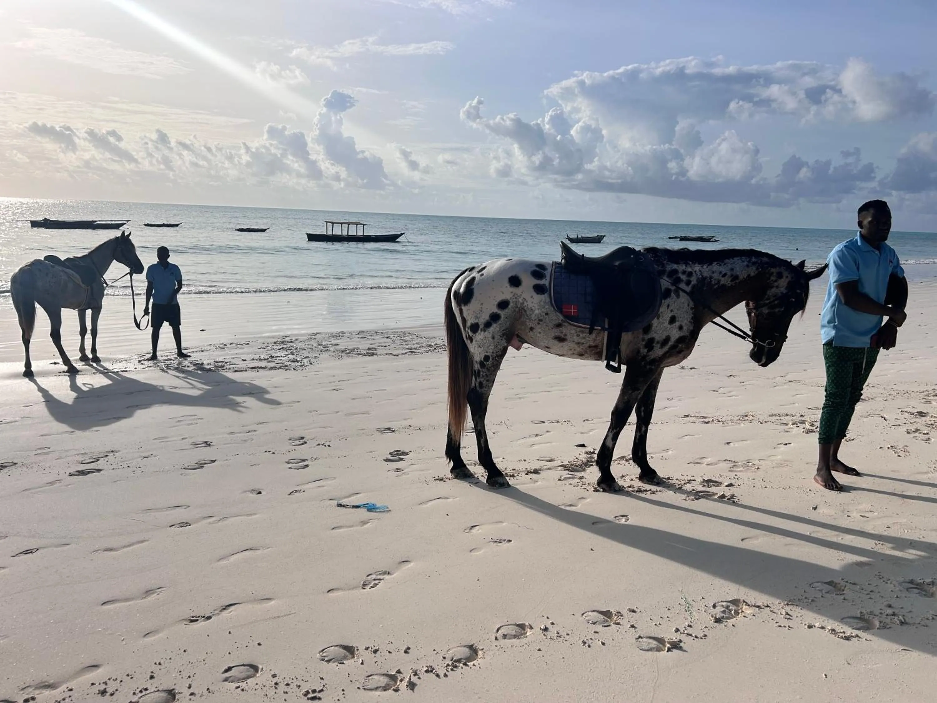 Bahari Beach Bungalows